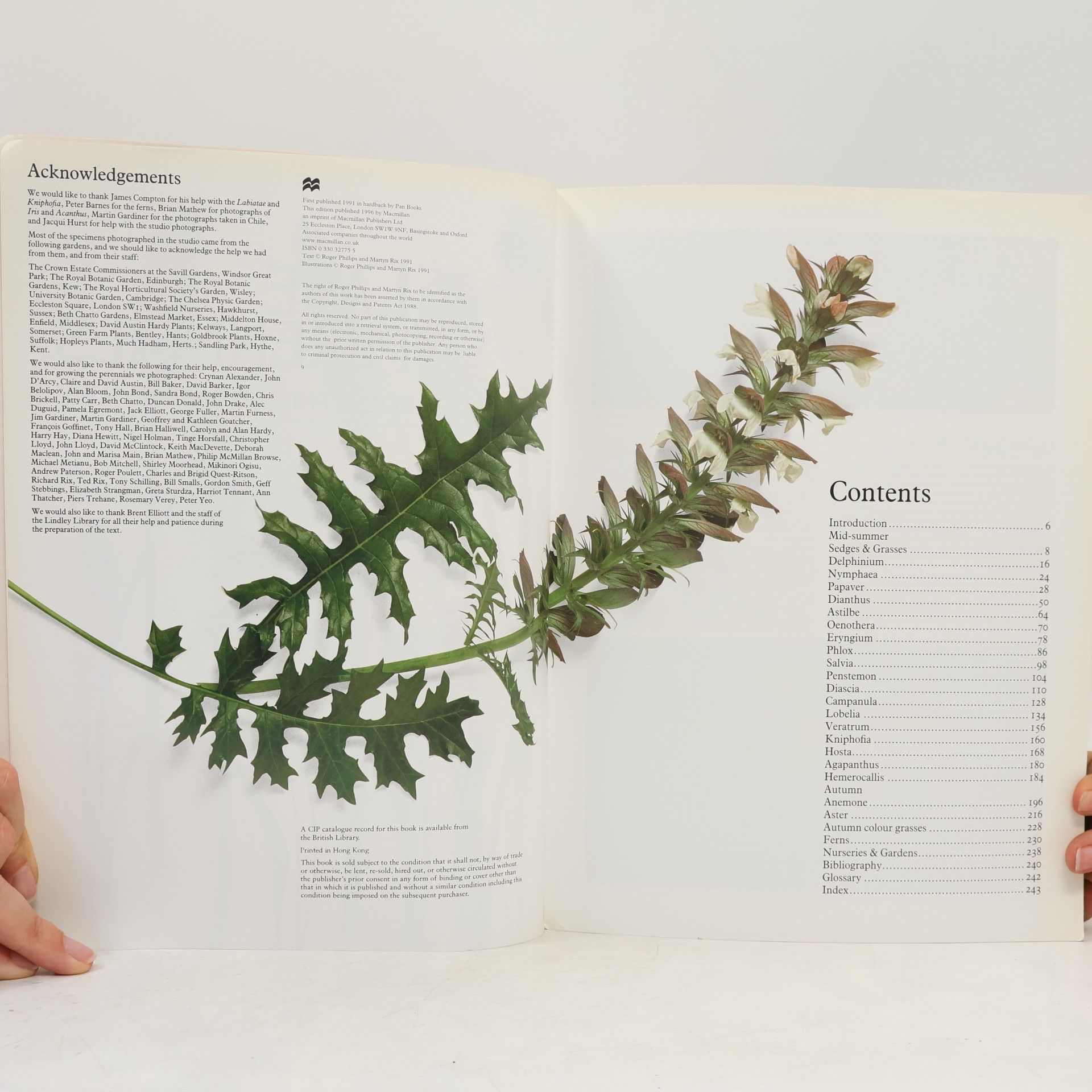 Martyn Rix The Garden Plant Series - 2: Perennials