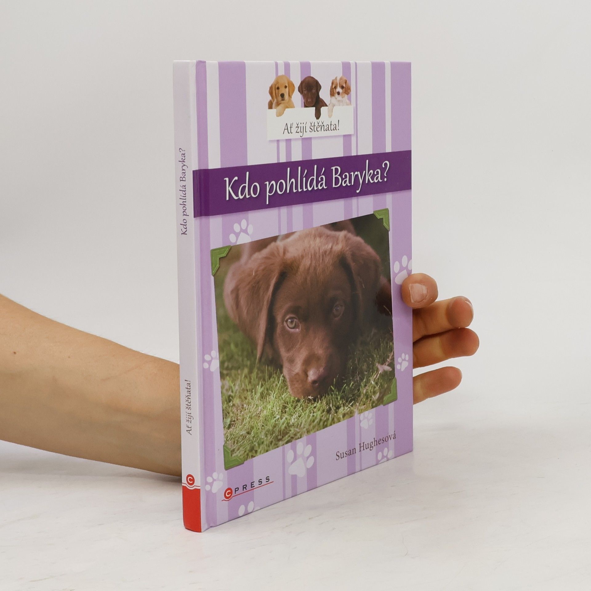 Susan Hughes Kdo pohlídá Baryka?