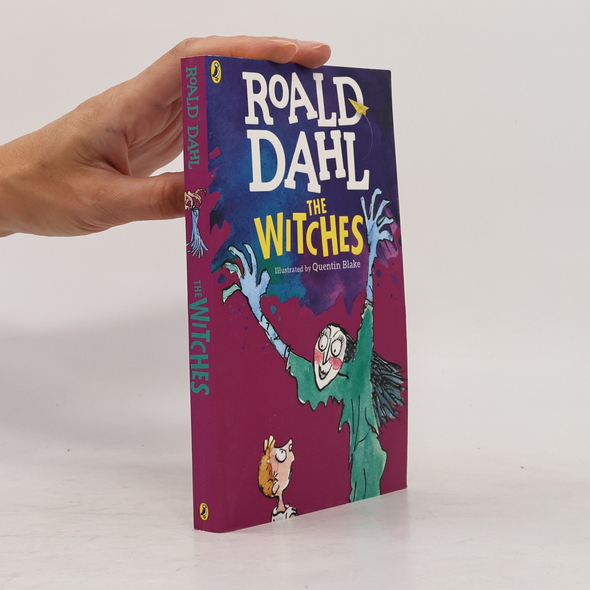 Roald Dahl The Witches