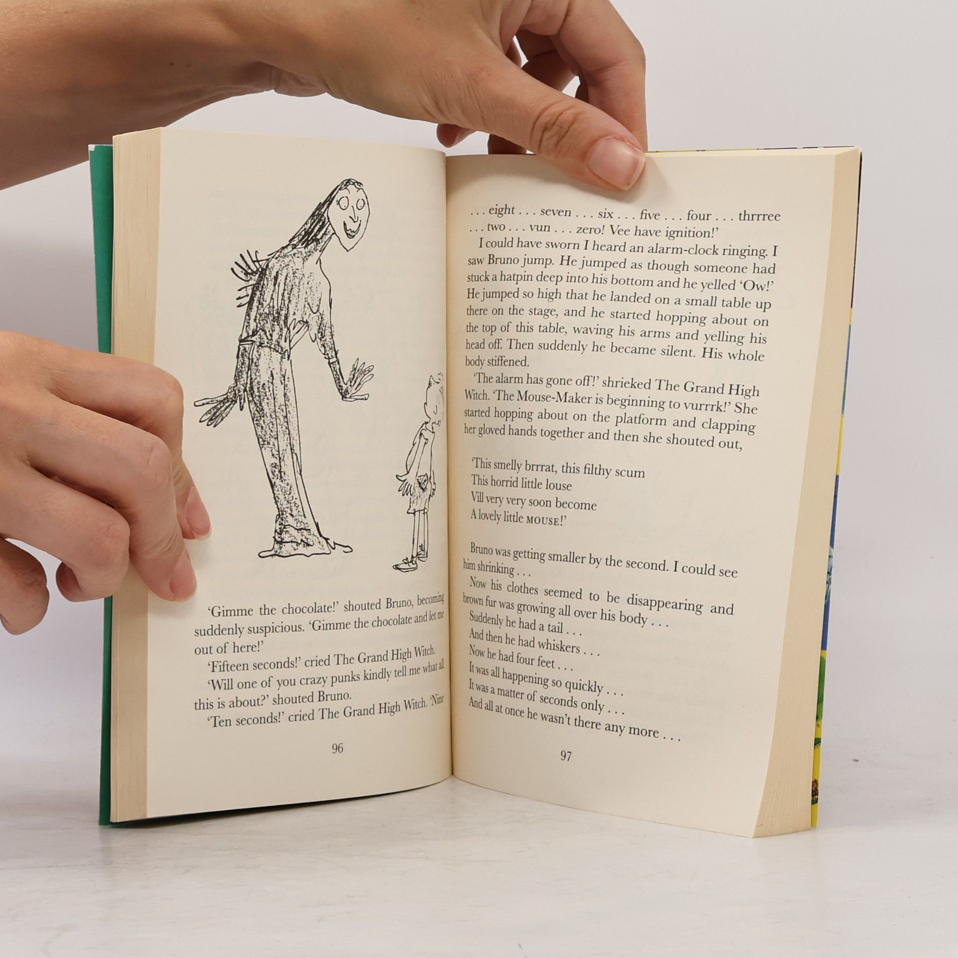 Roald Dahl The Witches