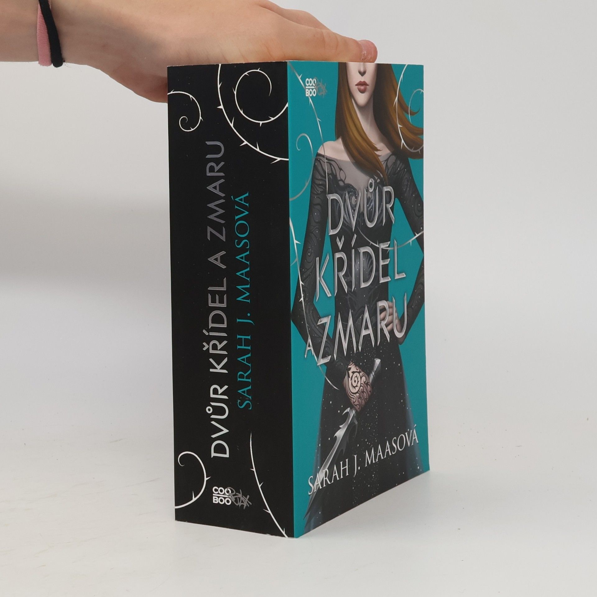 Sarah J. Maas Dvůr křídel a zmaru