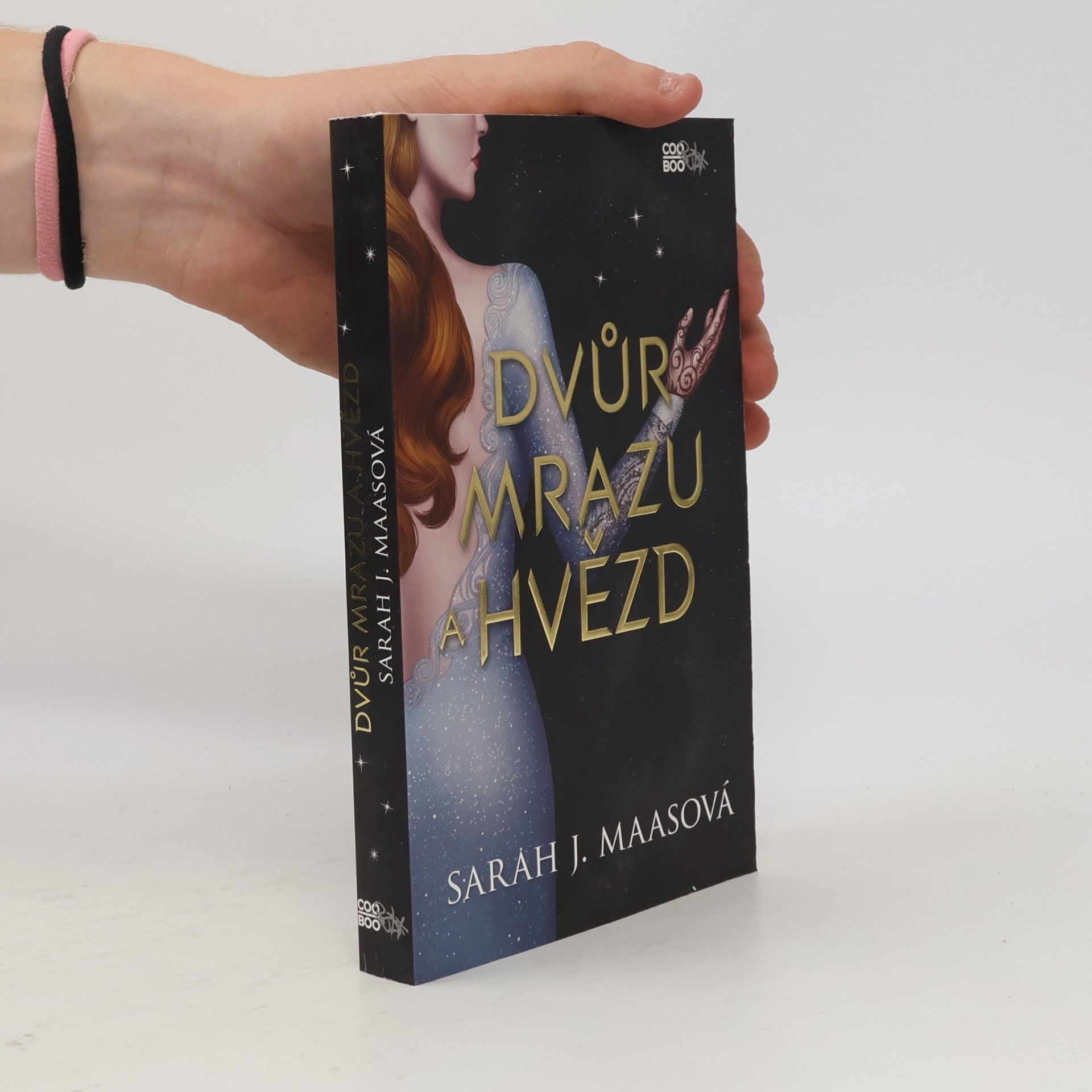 Sarah J. Maas Dvůr mrazu a hvězd