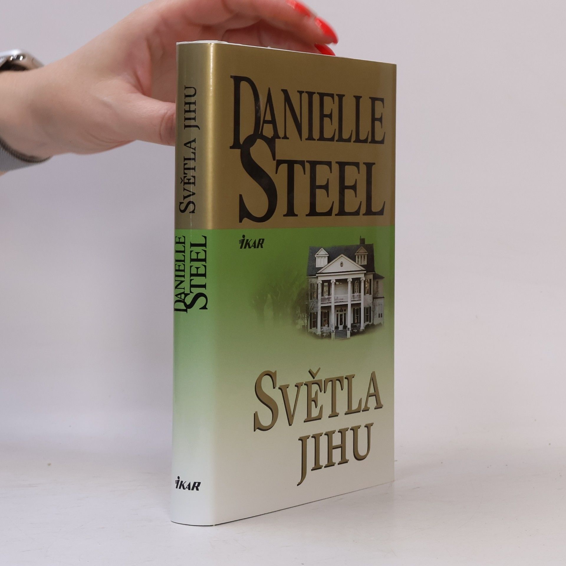 Danielle Steel Světla Jihu