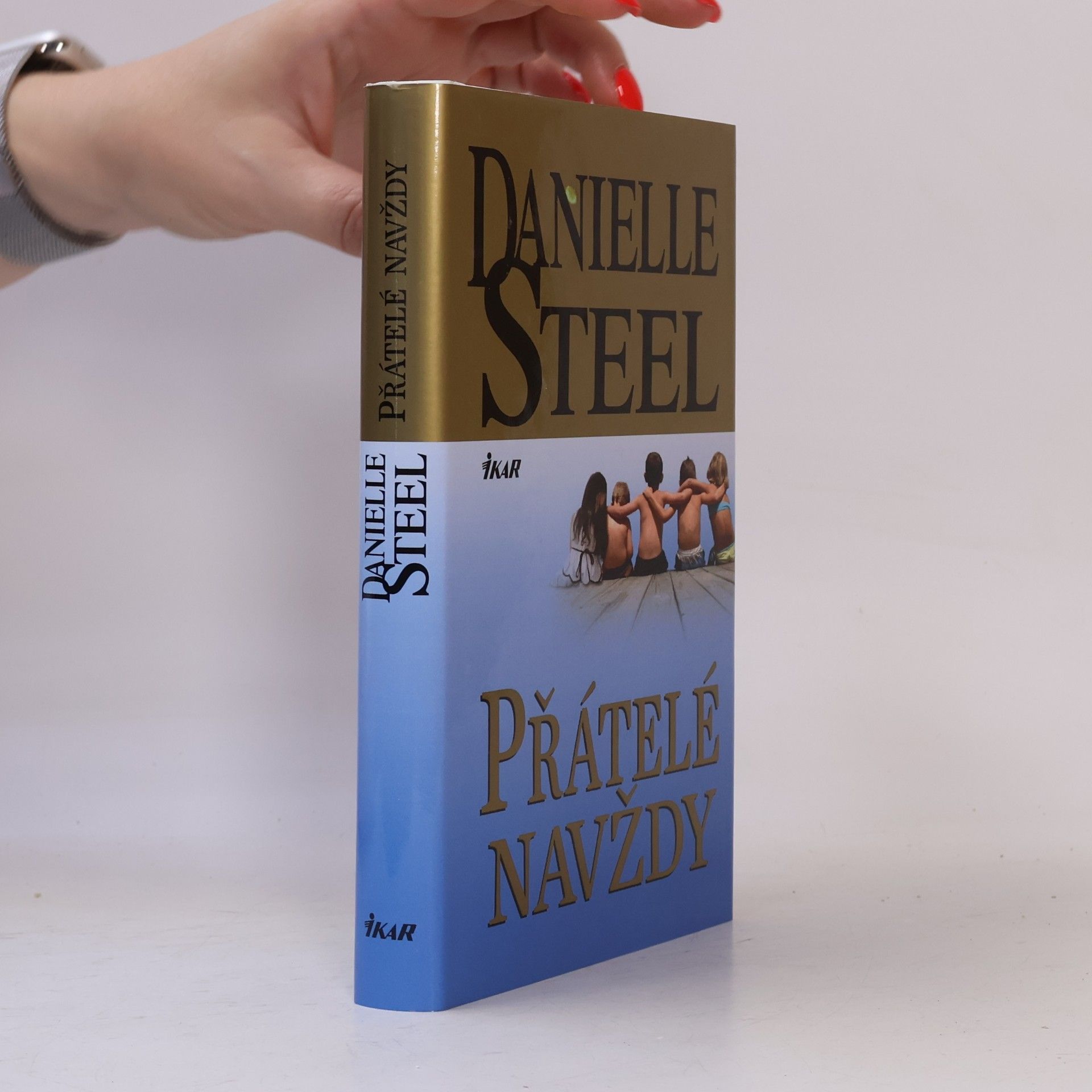 Danielle Steel Přátelé navždy