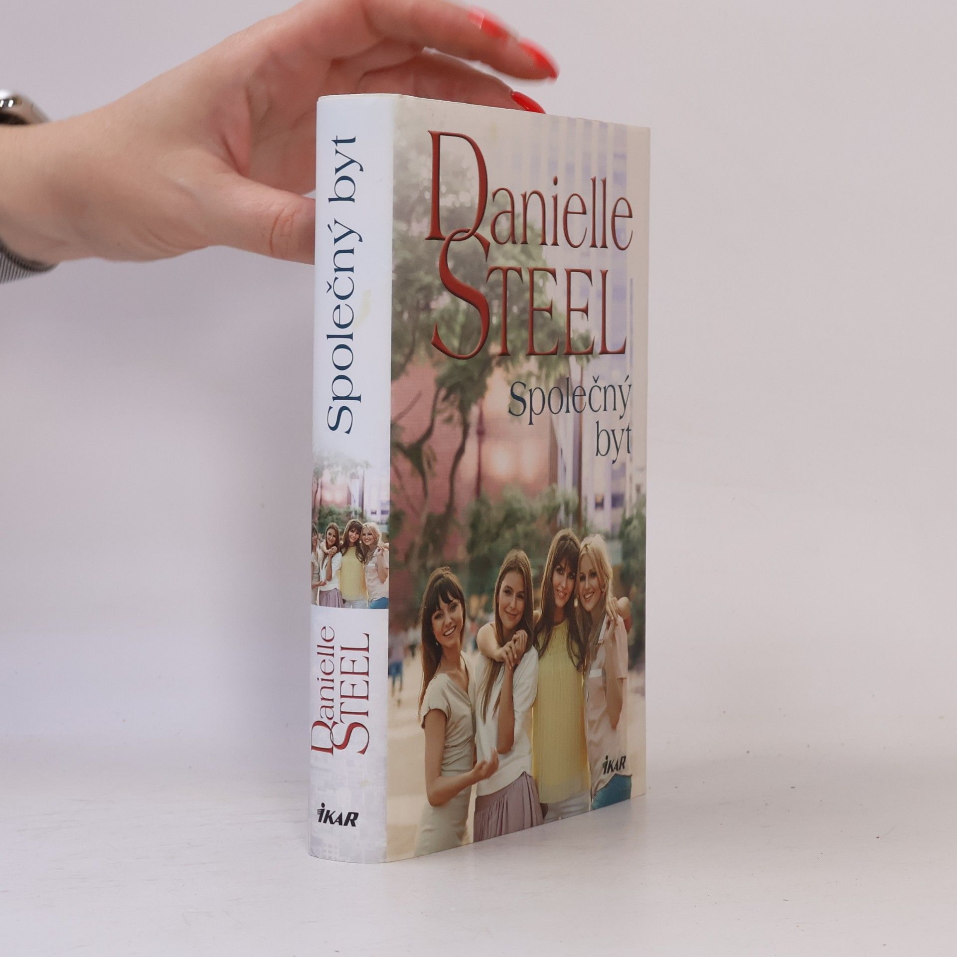 Danielle Steel Společný byt