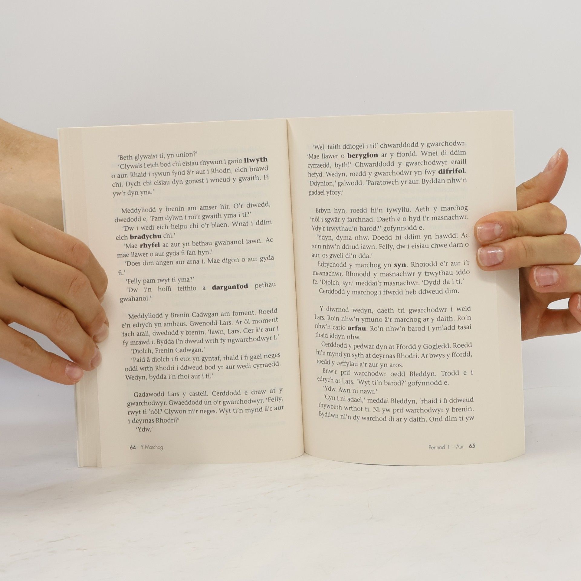 Olly Richards Teach Yourself: Short Stories in Welsh for Beginners