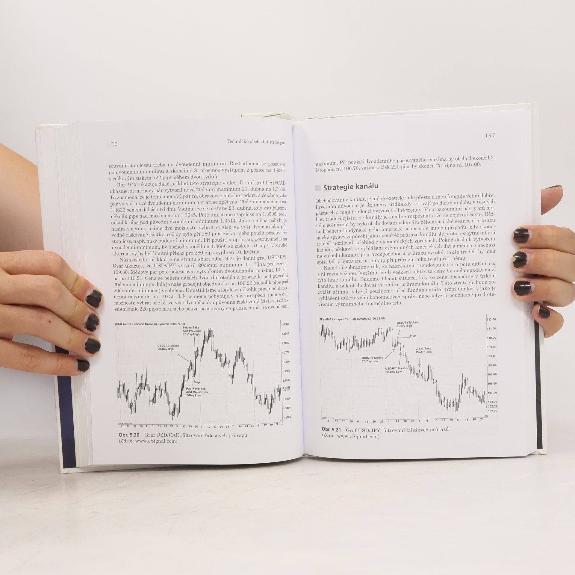 Kathy Lien Forex: Ziskové intradenní a swingové obchodní strategie