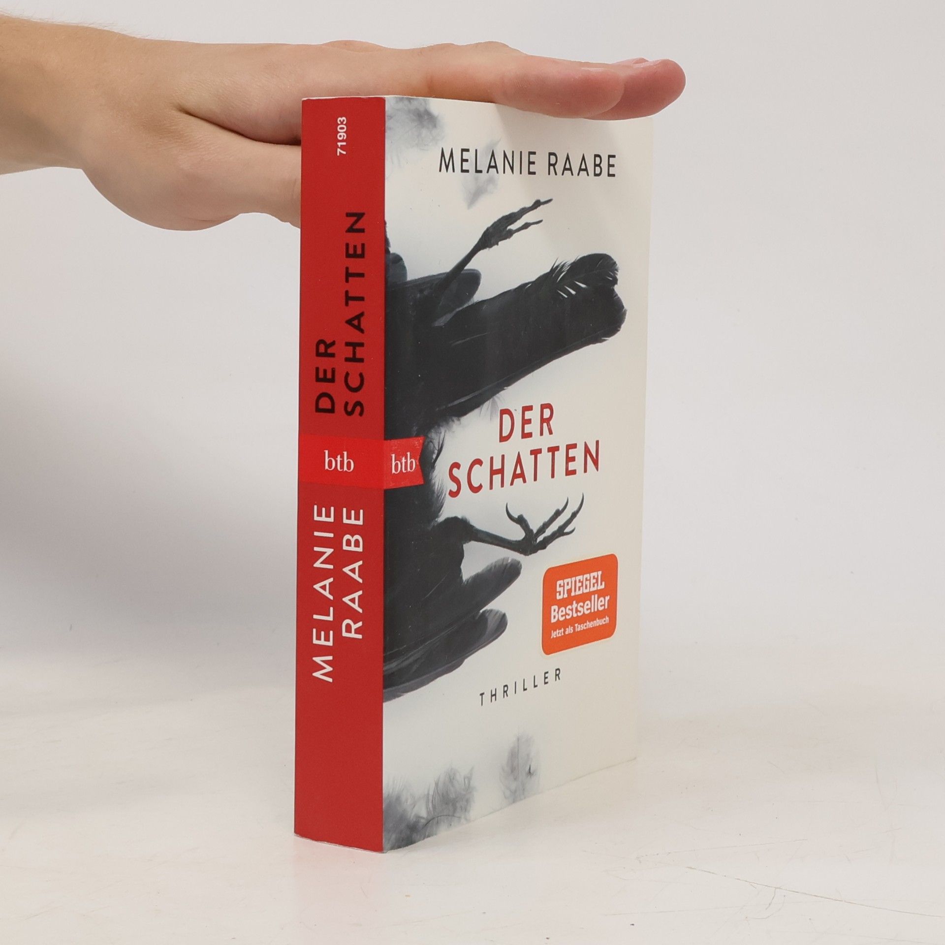 Melanie Raabe Der Schatten