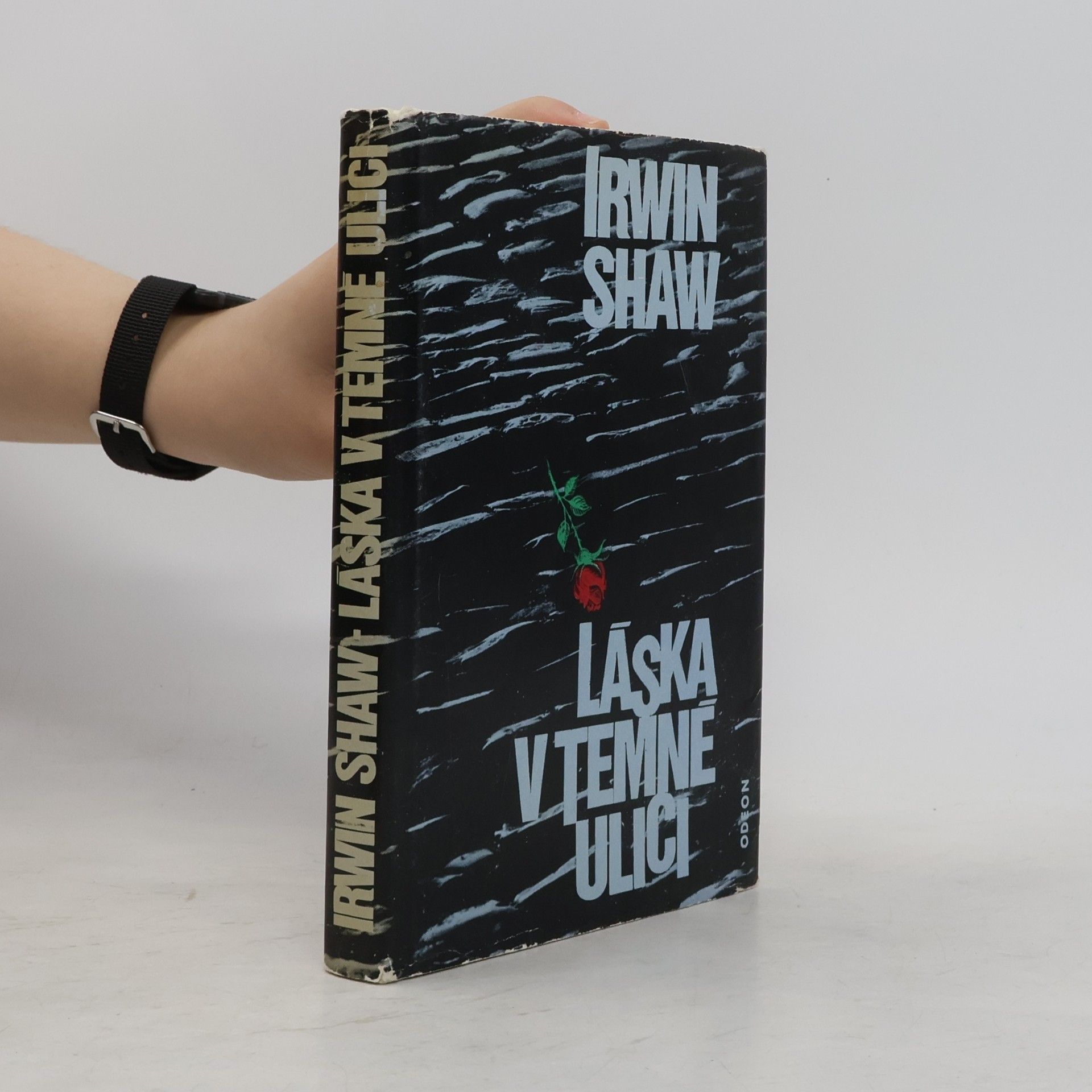 Irwin Shaw Láska v temné ulici