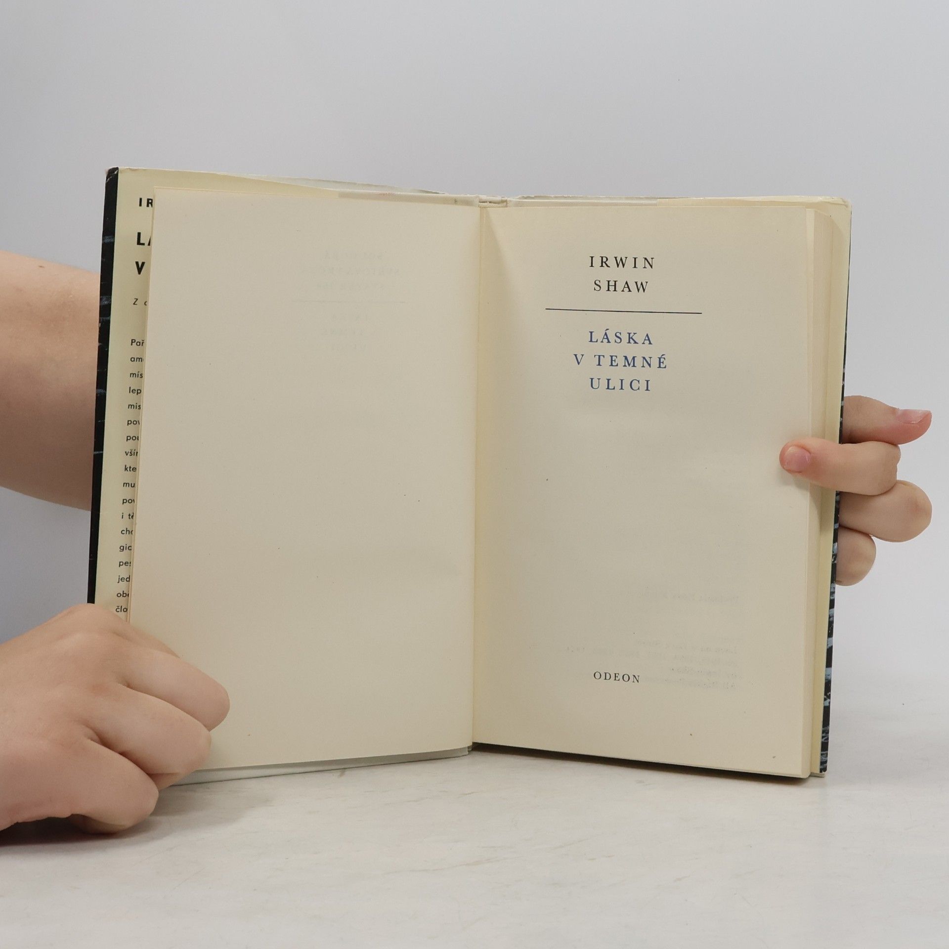 Irwin Shaw Láska v temné ulici