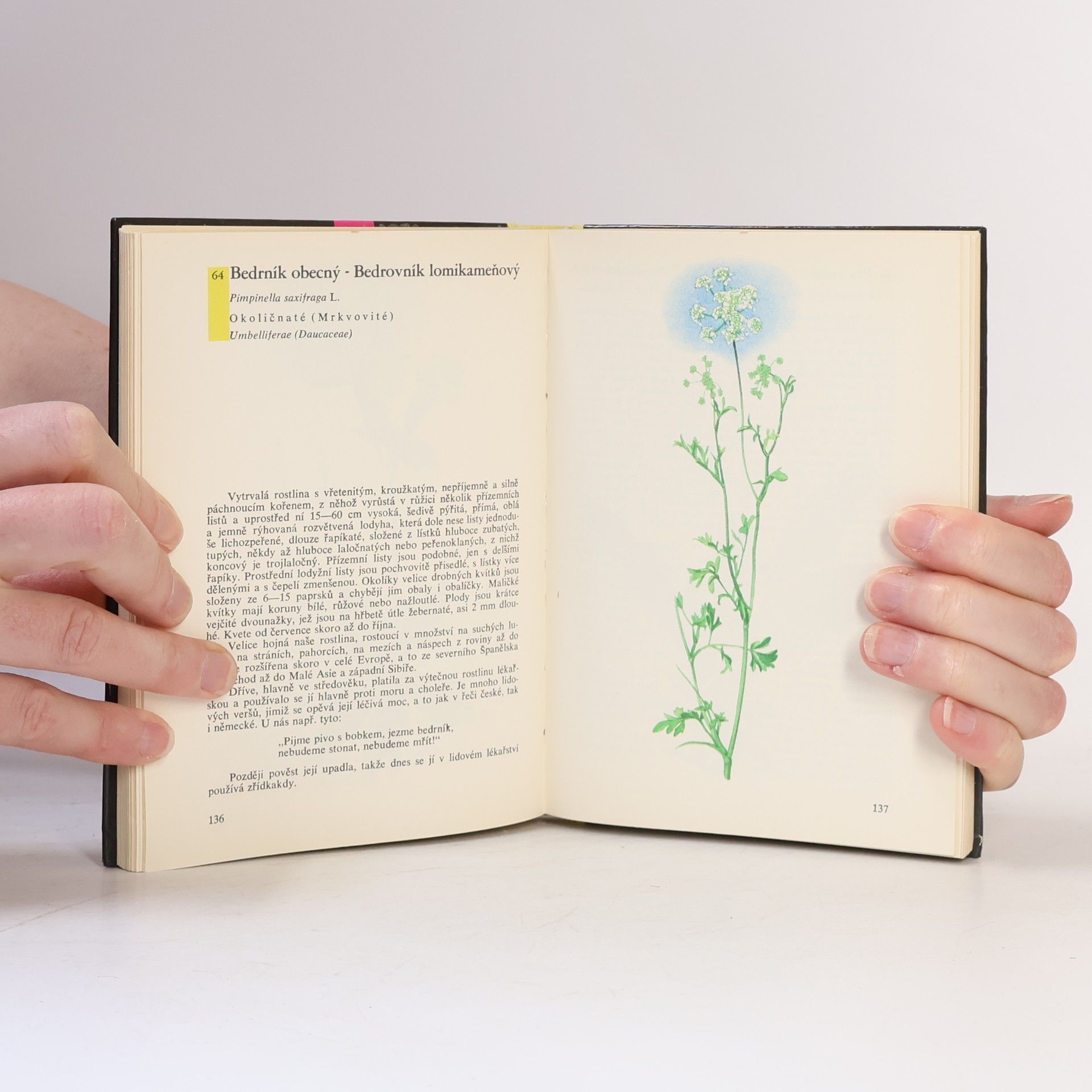 Albert Pilát Kapesní atlas rostlin
