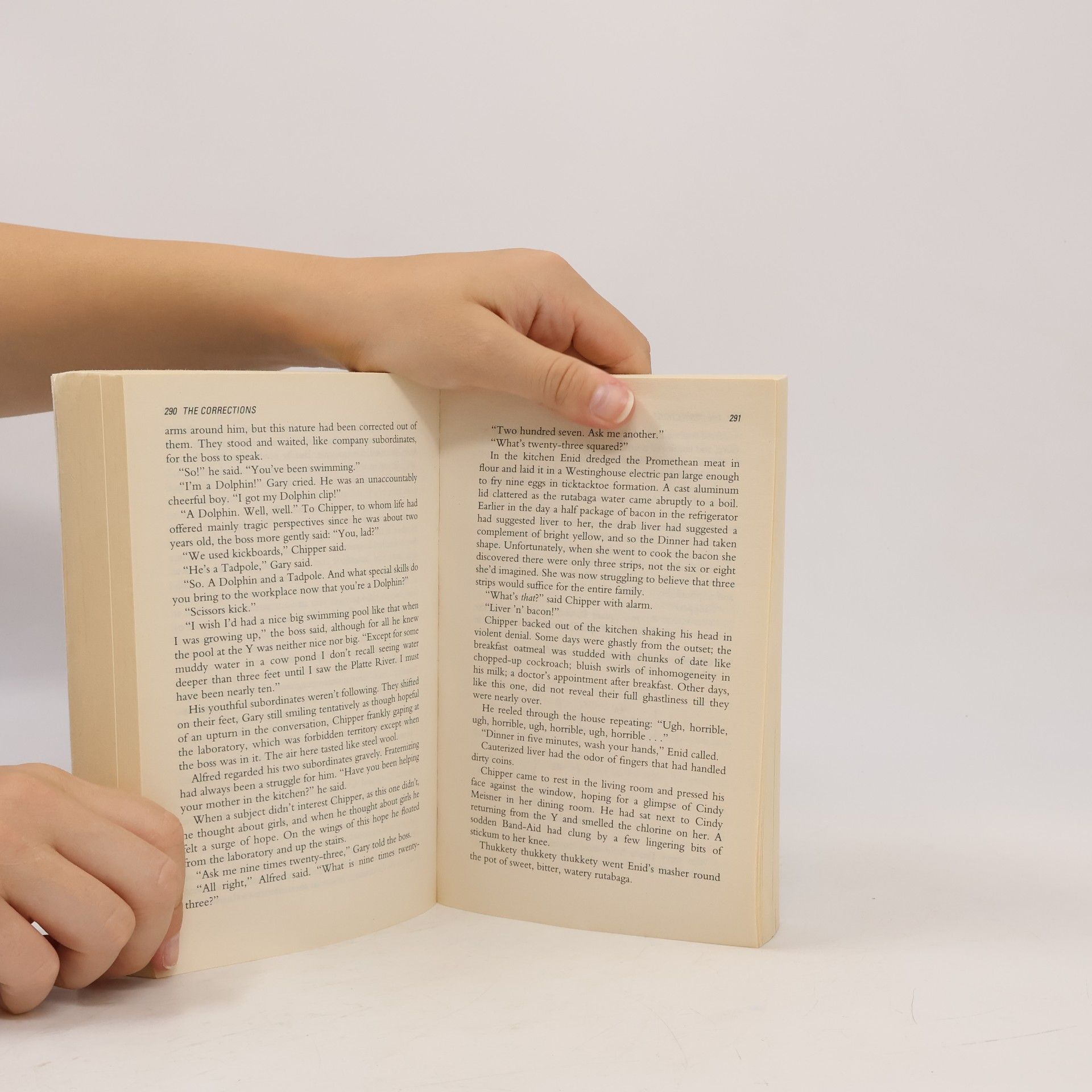 Jonathan Franzen The corrections
