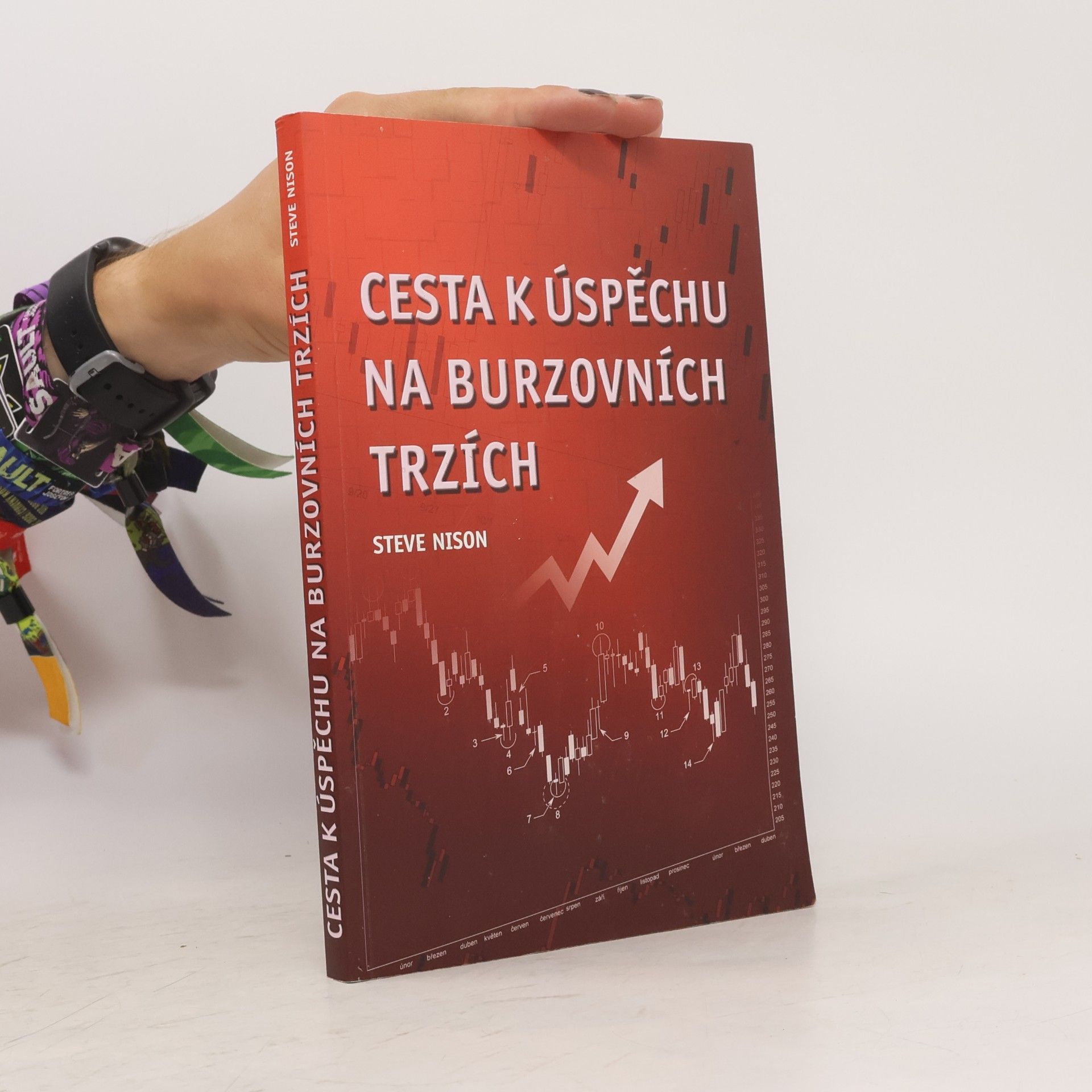 Steve Nison Cesta k úspěchu na burzovních trzích