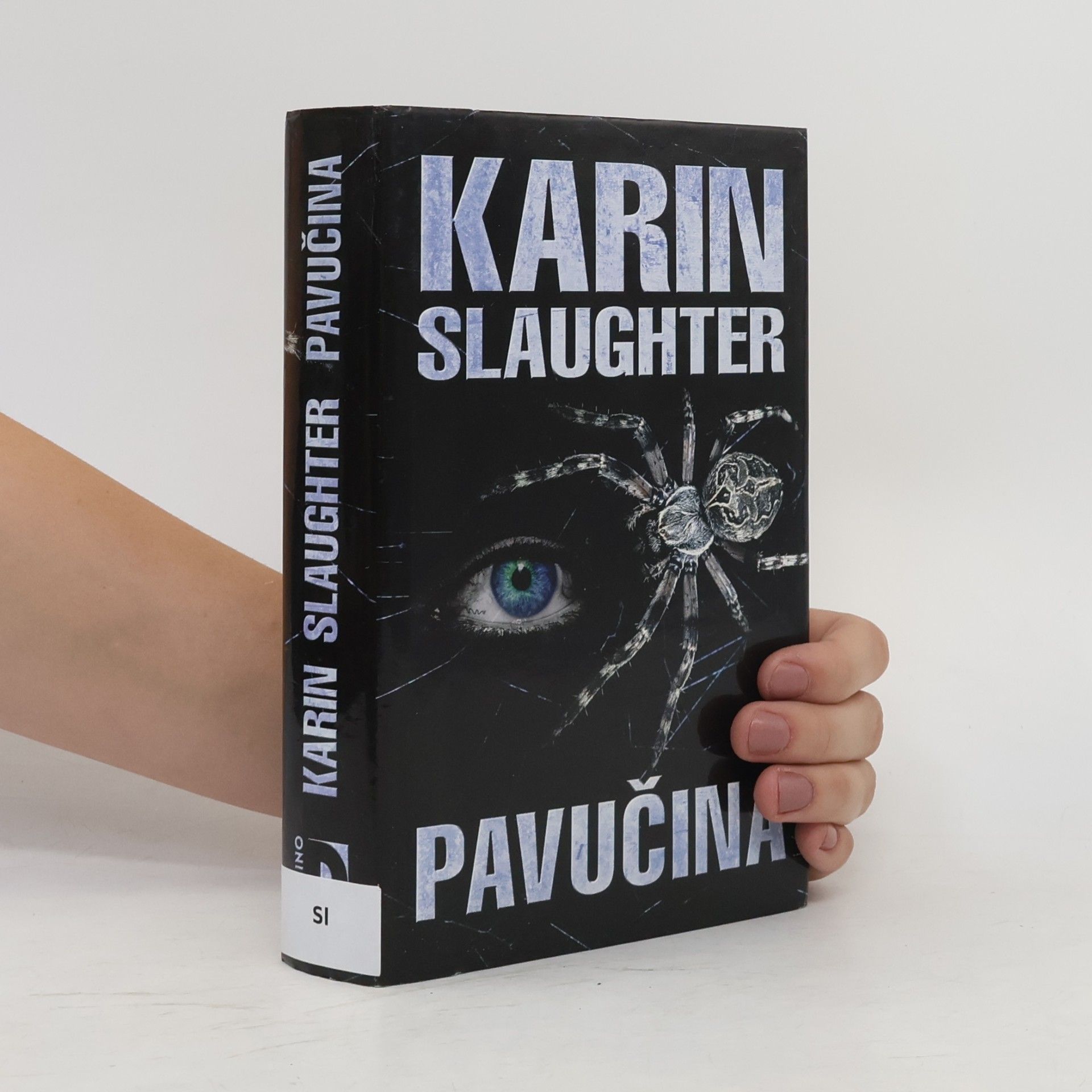Karin Slaughter Pavučina