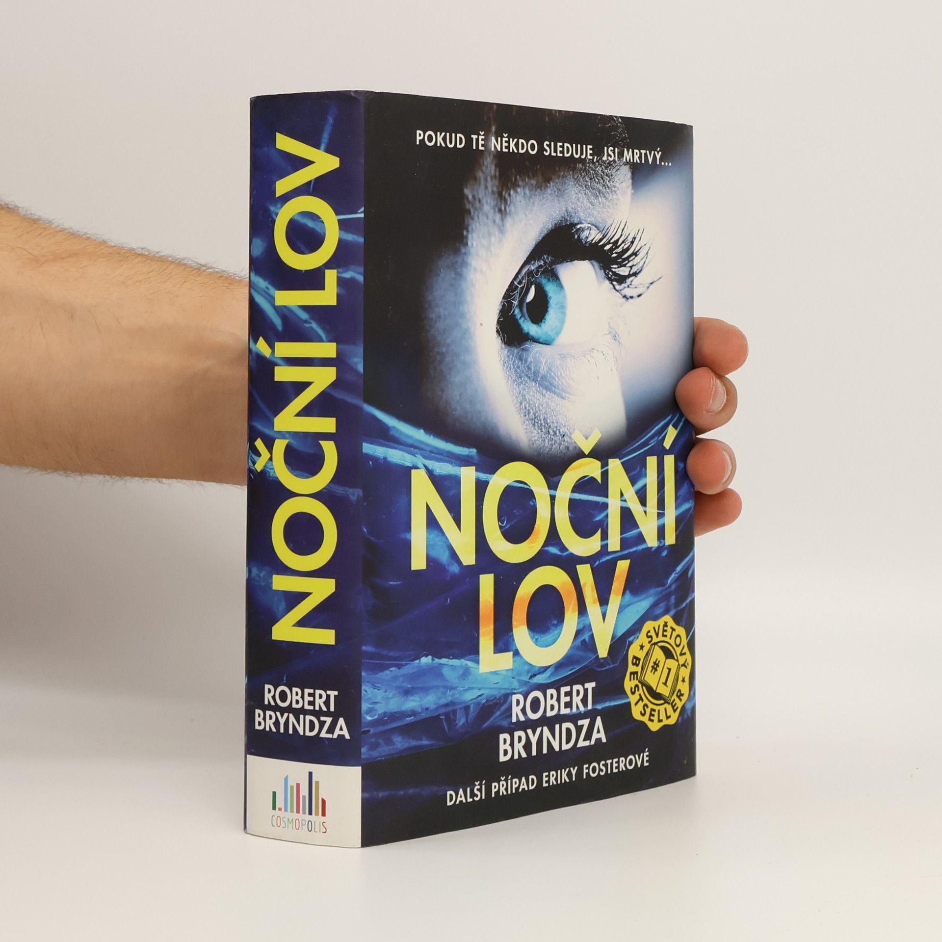 Robert Bryndza Noční lov