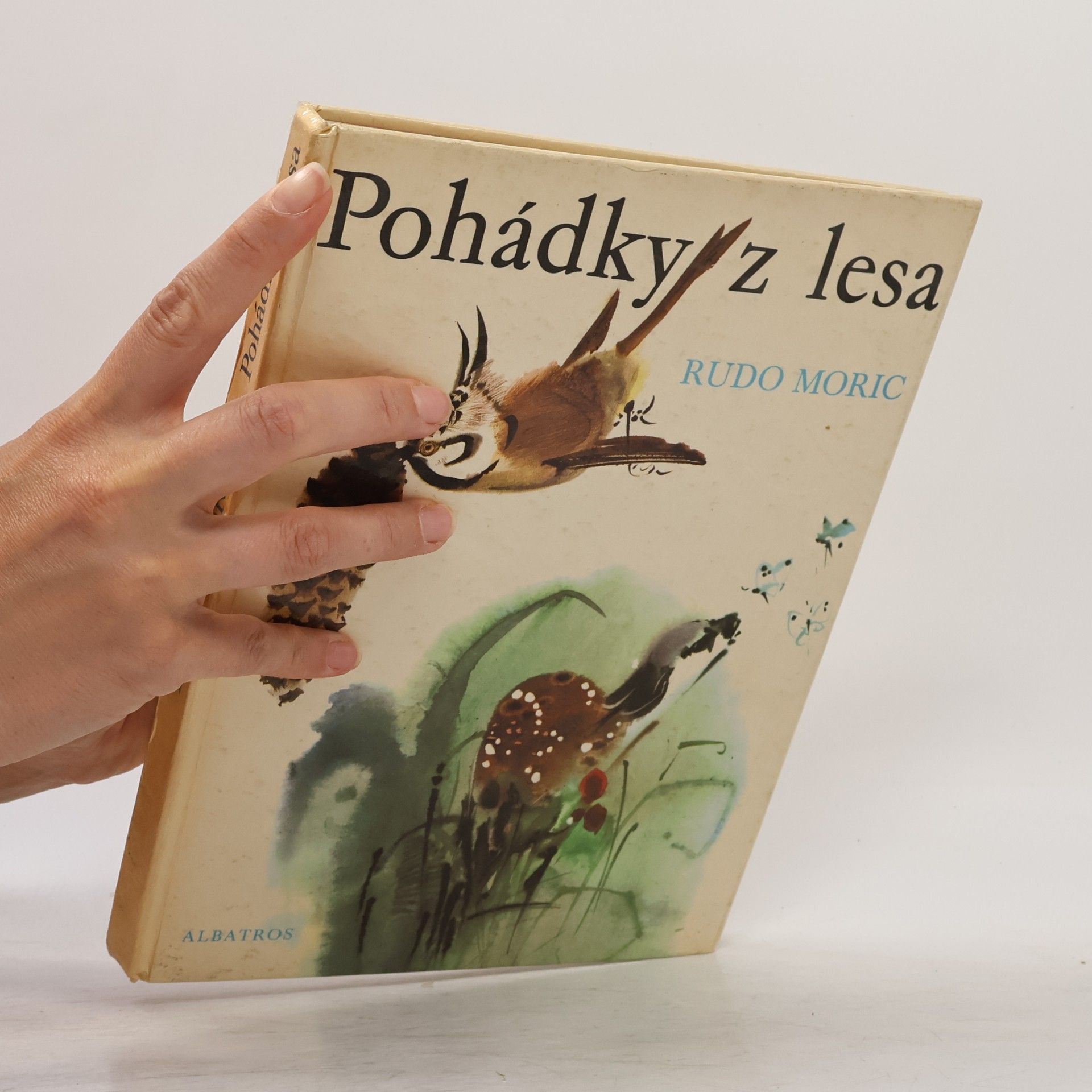Rudo Moric Pohádky z lesa