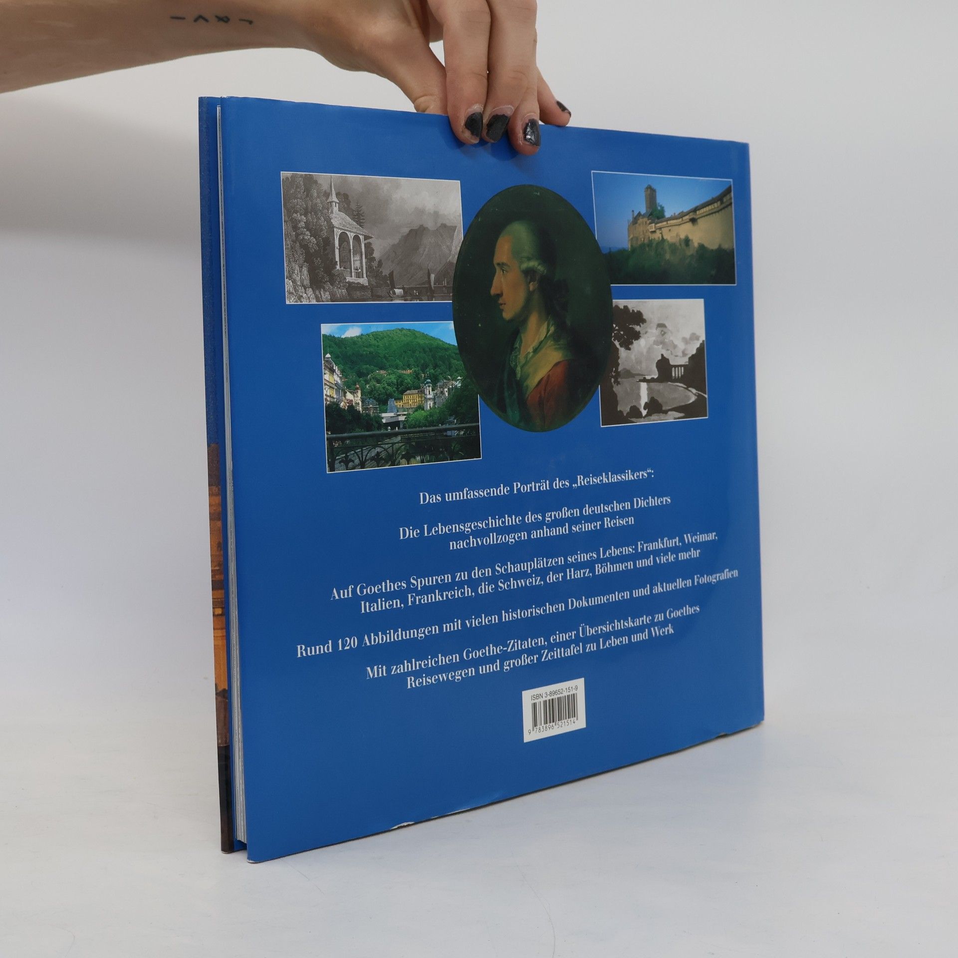 Michael Neumann-Adrian Goethe auf Reisen