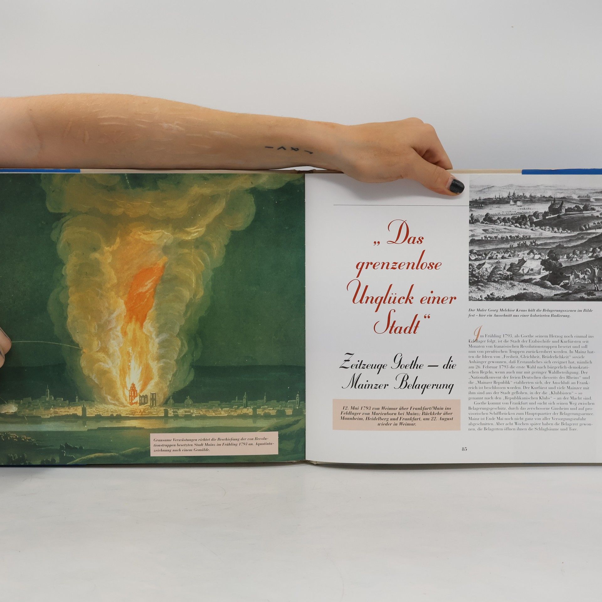 Michael Neumann-Adrian Goethe auf Reisen