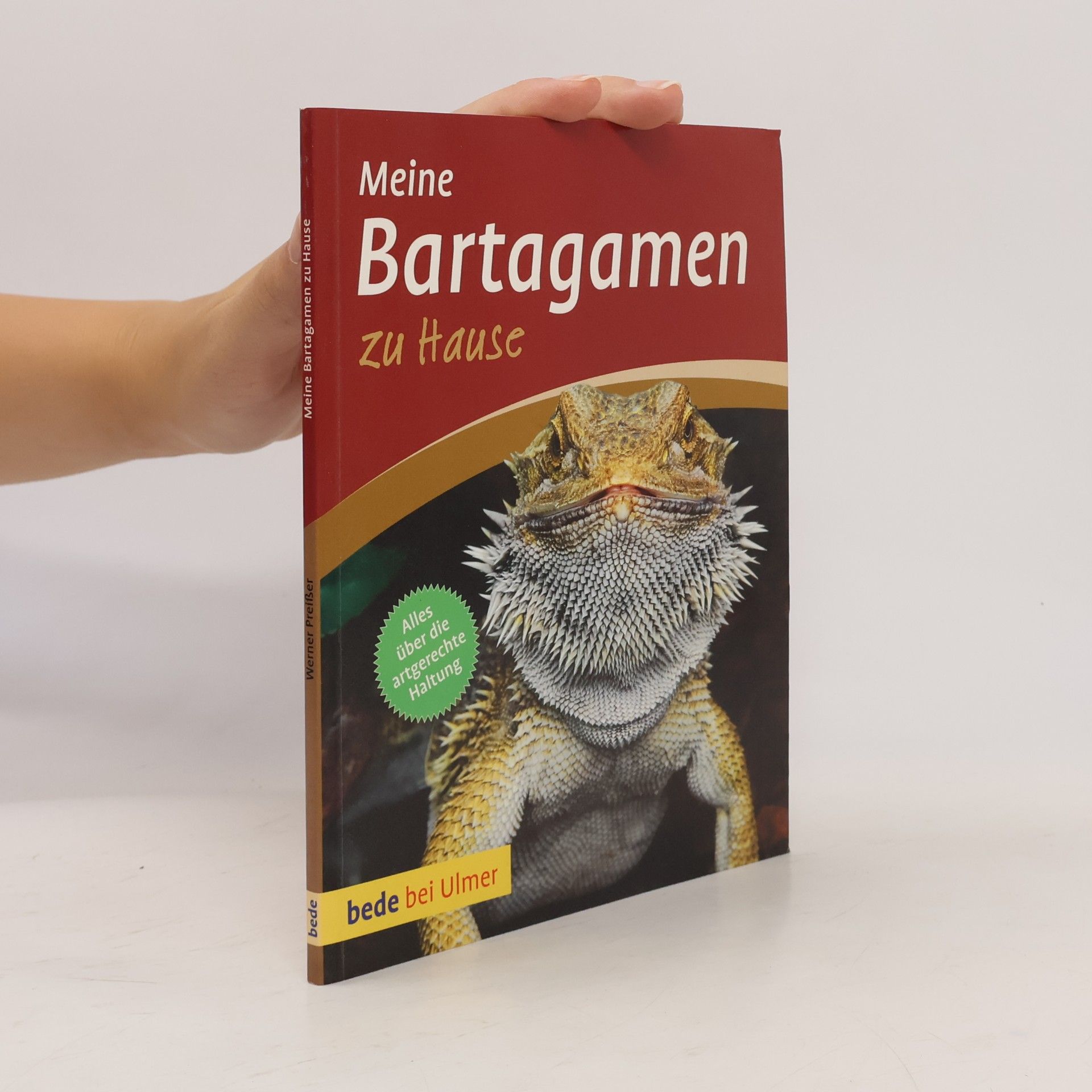 Werner Preißer Meine Bartagamen zu Hause