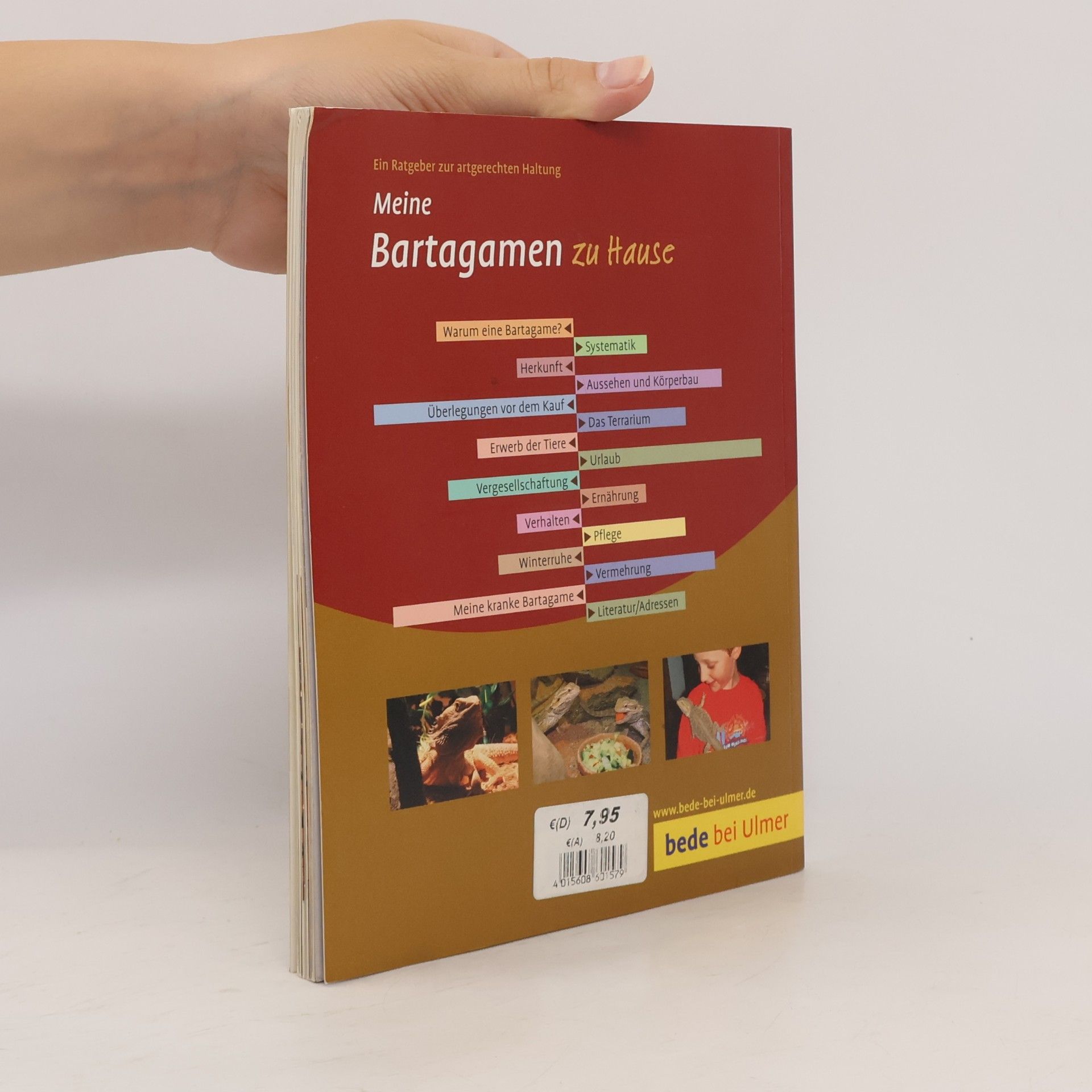 Werner Preißer Meine Bartagamen zu Hause