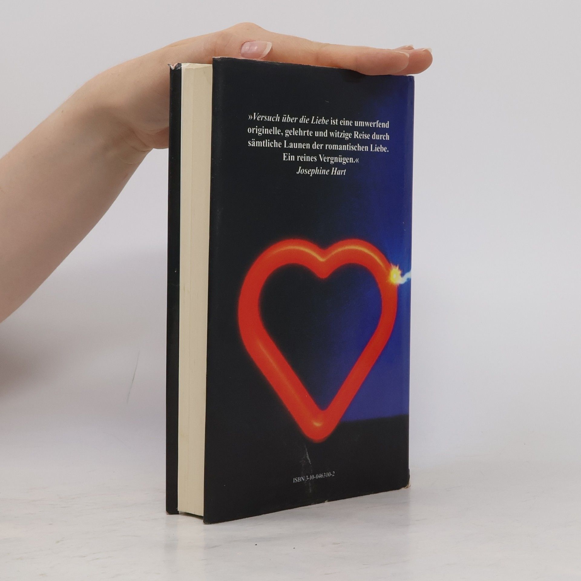 Alain de Botton Versuch über die Liebe