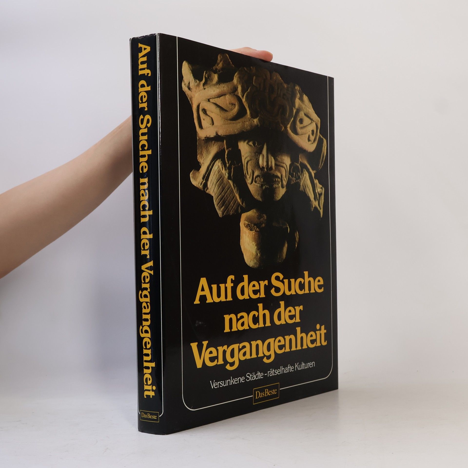 Sybille A. Rott Illfeld Auf der Suche nach der Vergangenheit