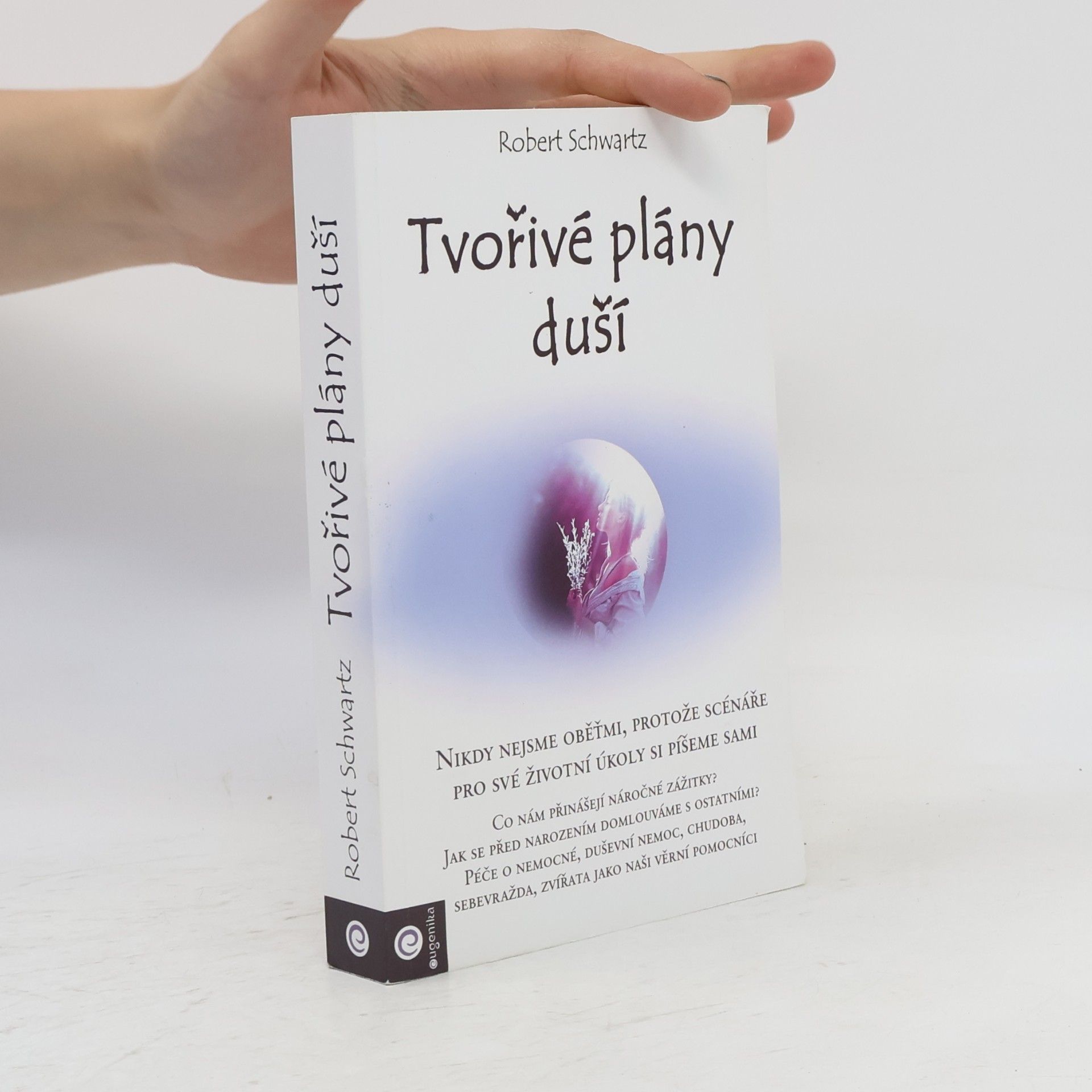 Robert Schwartz Tvořivé plány duší