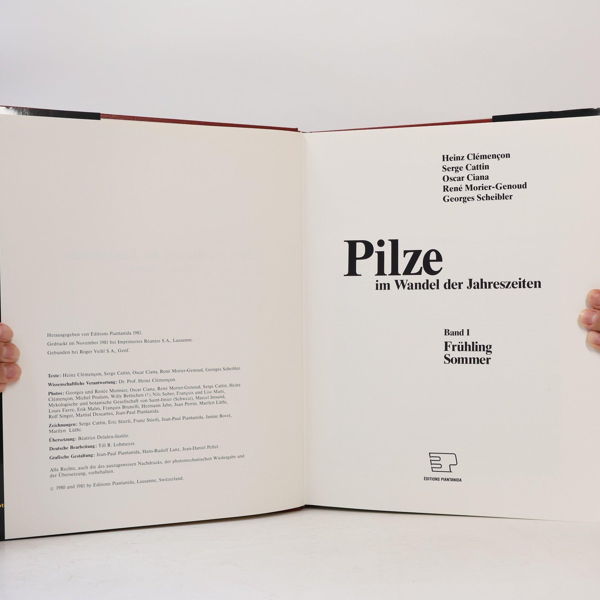 Autorenkollektiv Pilze im Wandel der Jahreszeiten Band I. Frühling, Sommer