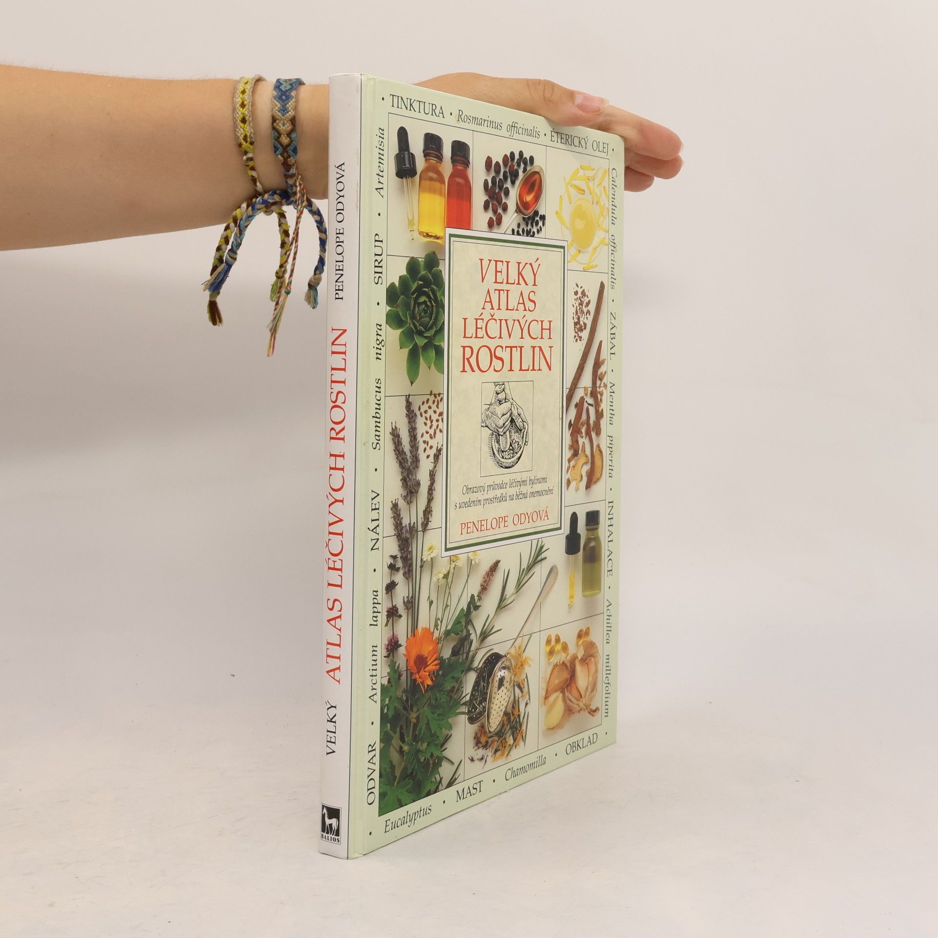 Penelope Ody Velký atlas léčivých rostlin