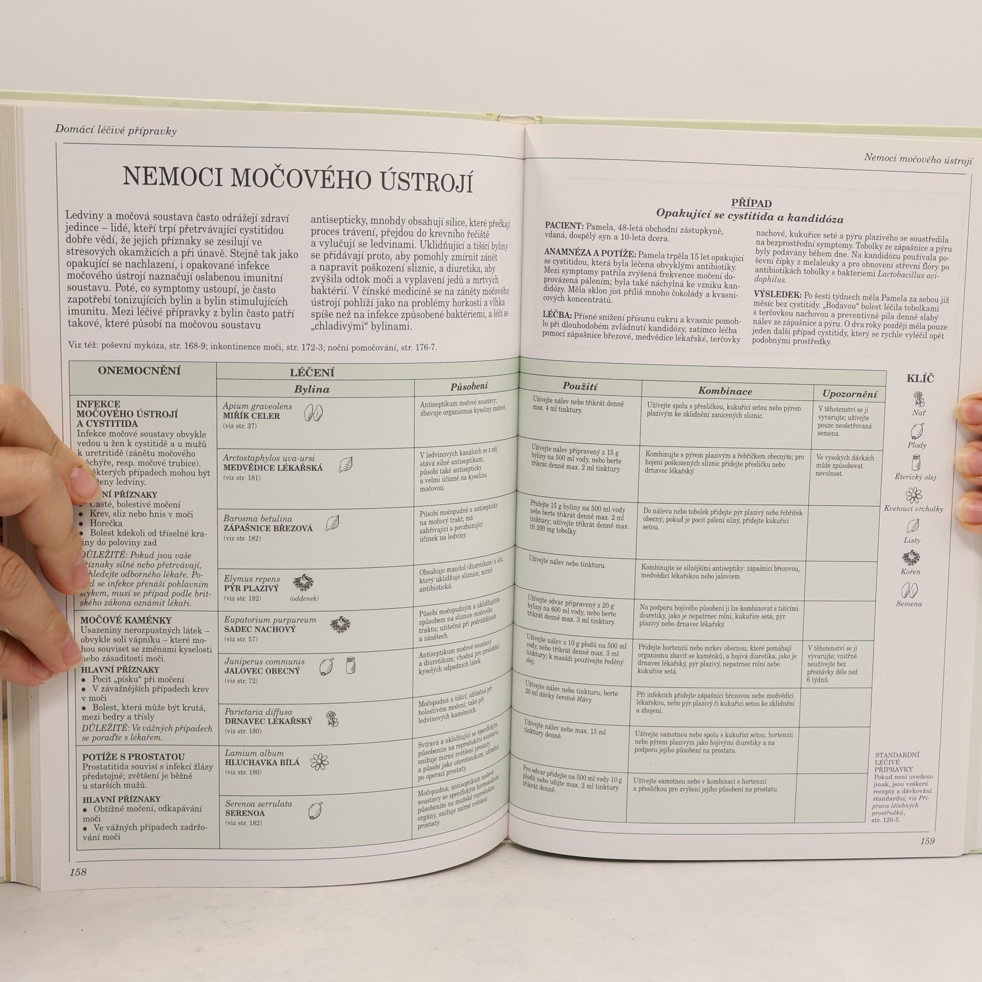 Penelope Ody Velký atlas léčivých rostlin
