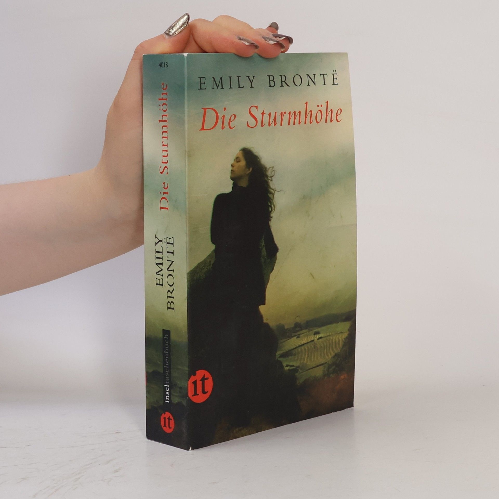Emily Brontë Die Sturmhöhe
