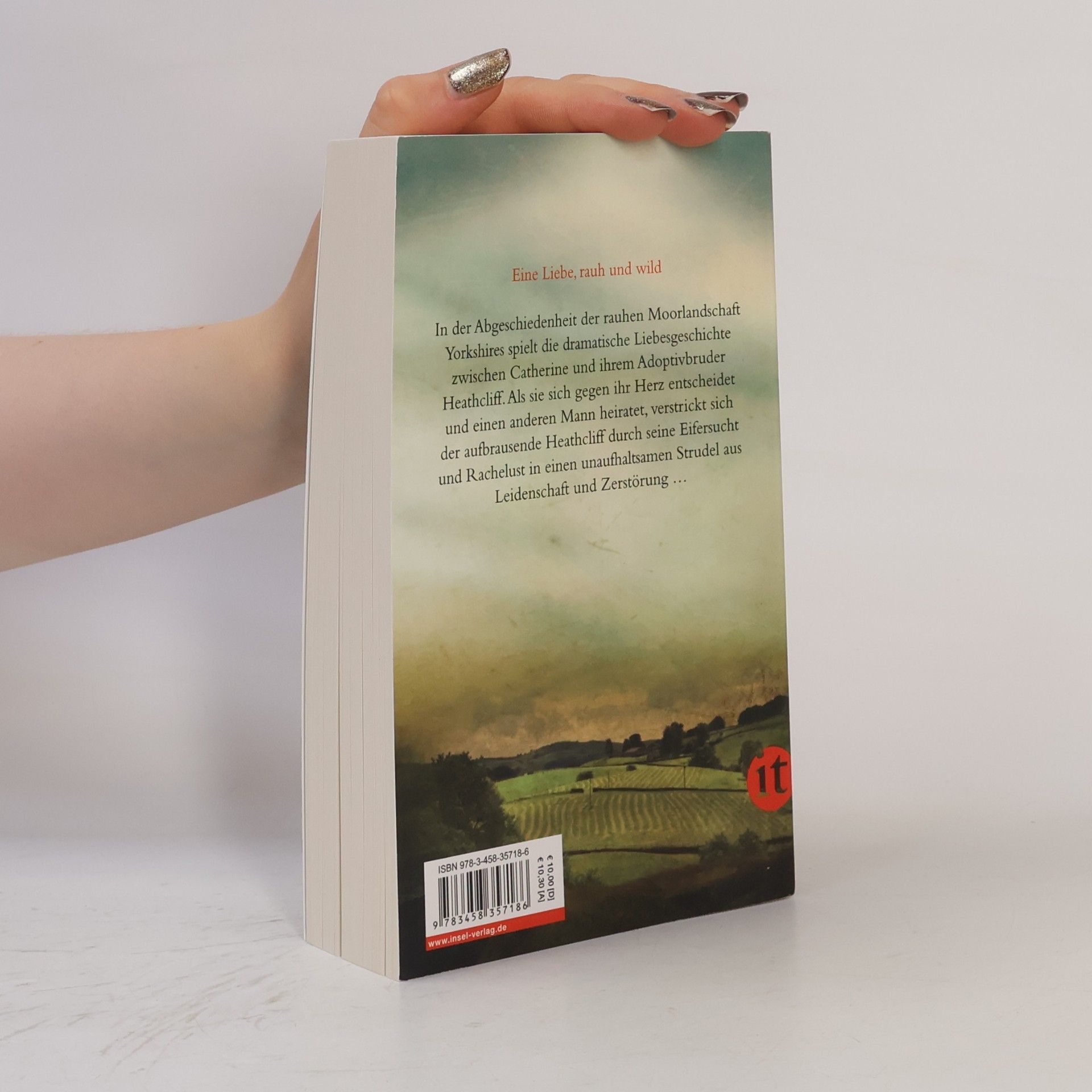 Emily Brontë Die Sturmhöhe