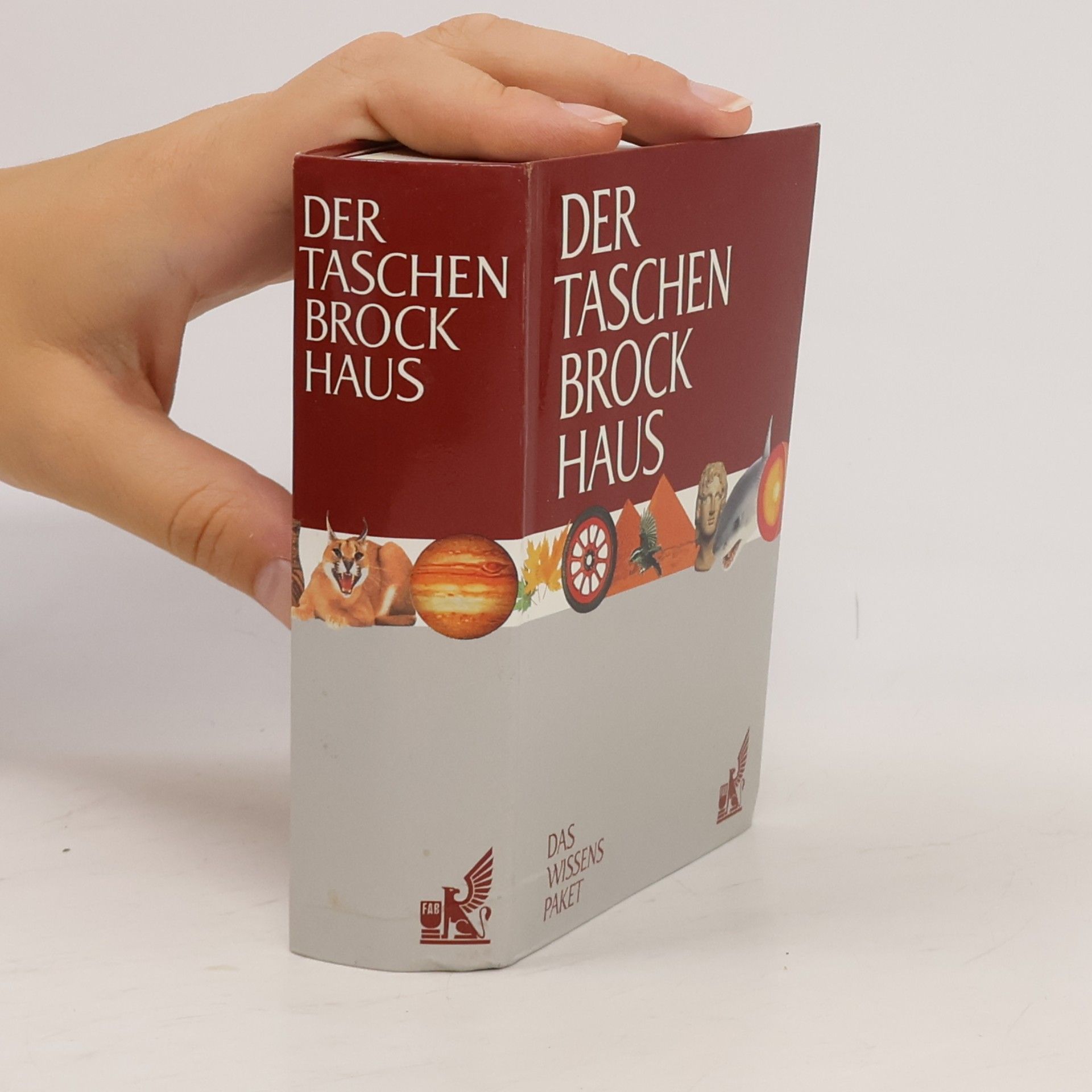 Ulrike Emrich Der Taschen-Brockhaus