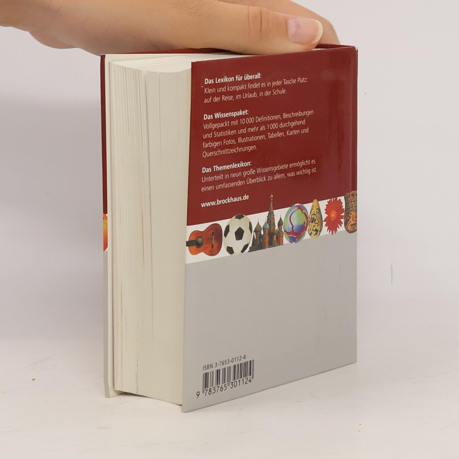 Ulrike Emrich Der Taschen-Brockhaus