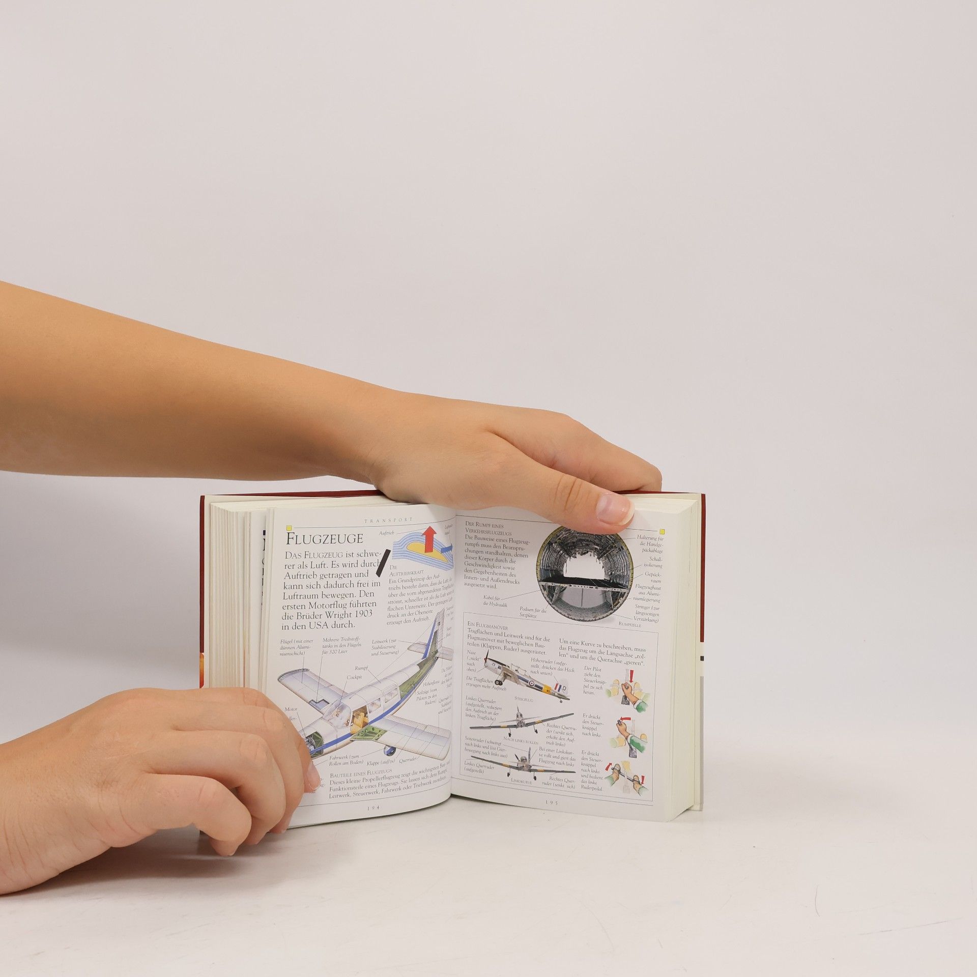 Ulrike Emrich Der Taschen-Brockhaus