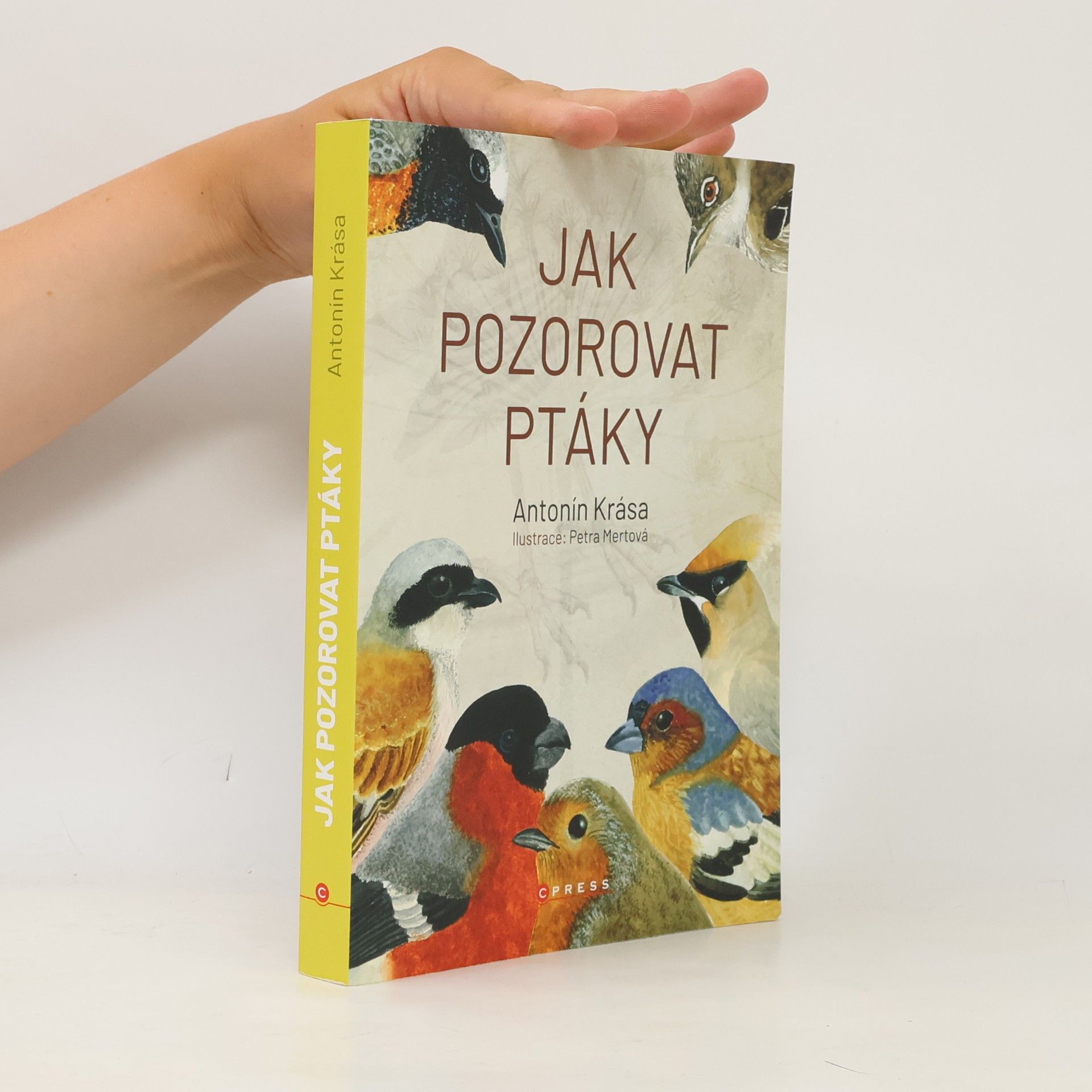 Jak pozorovat ptáky