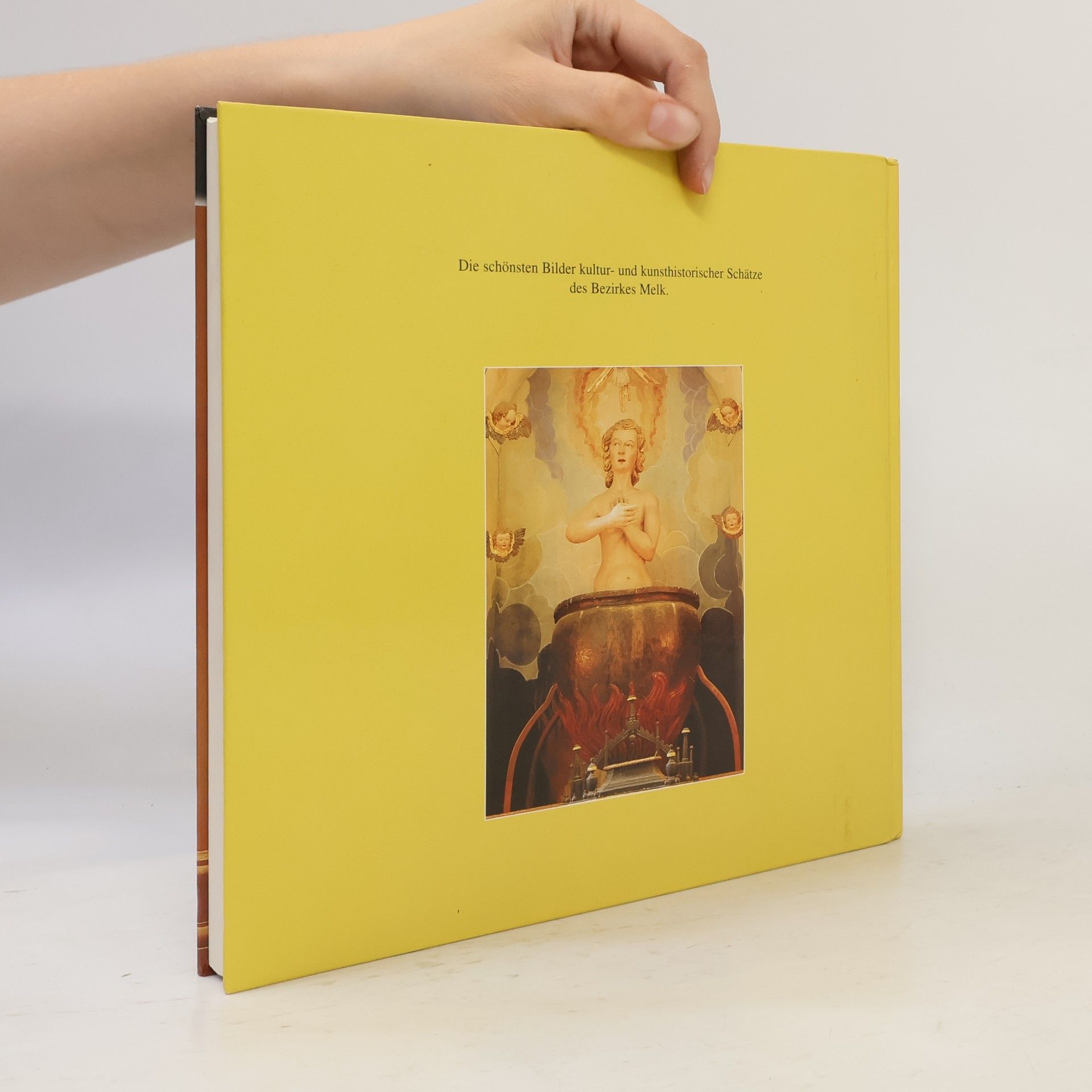 Renate Holzschuh-Hofer Der Bezirk Melk. Herzstück Niederösterreichs III. Kultur- und kunsthistorische Schätze des Bezirkes Melk