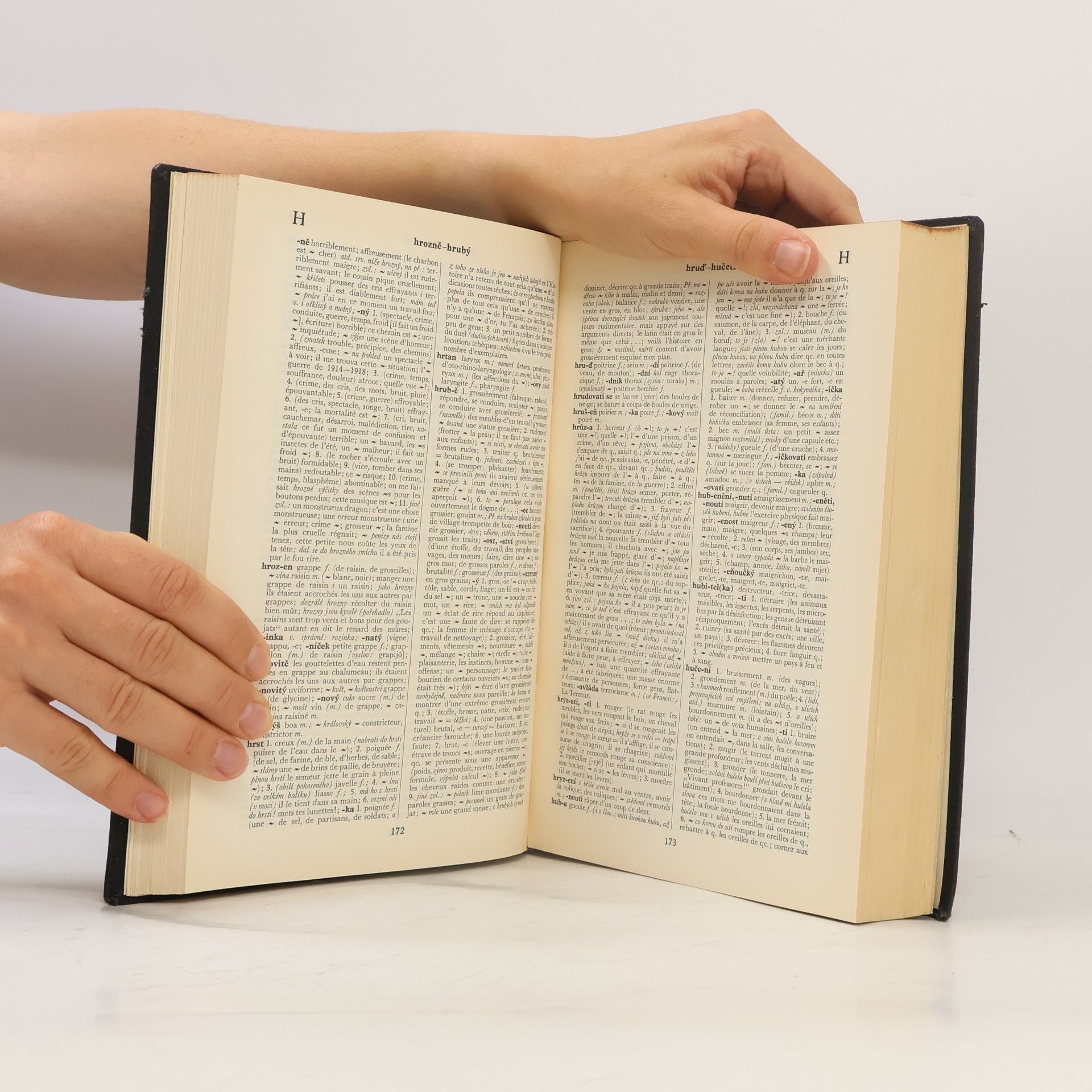 Stehlík Oldřich Slovník česko-francouzský. Dictionnaire tchèque-français. A-P