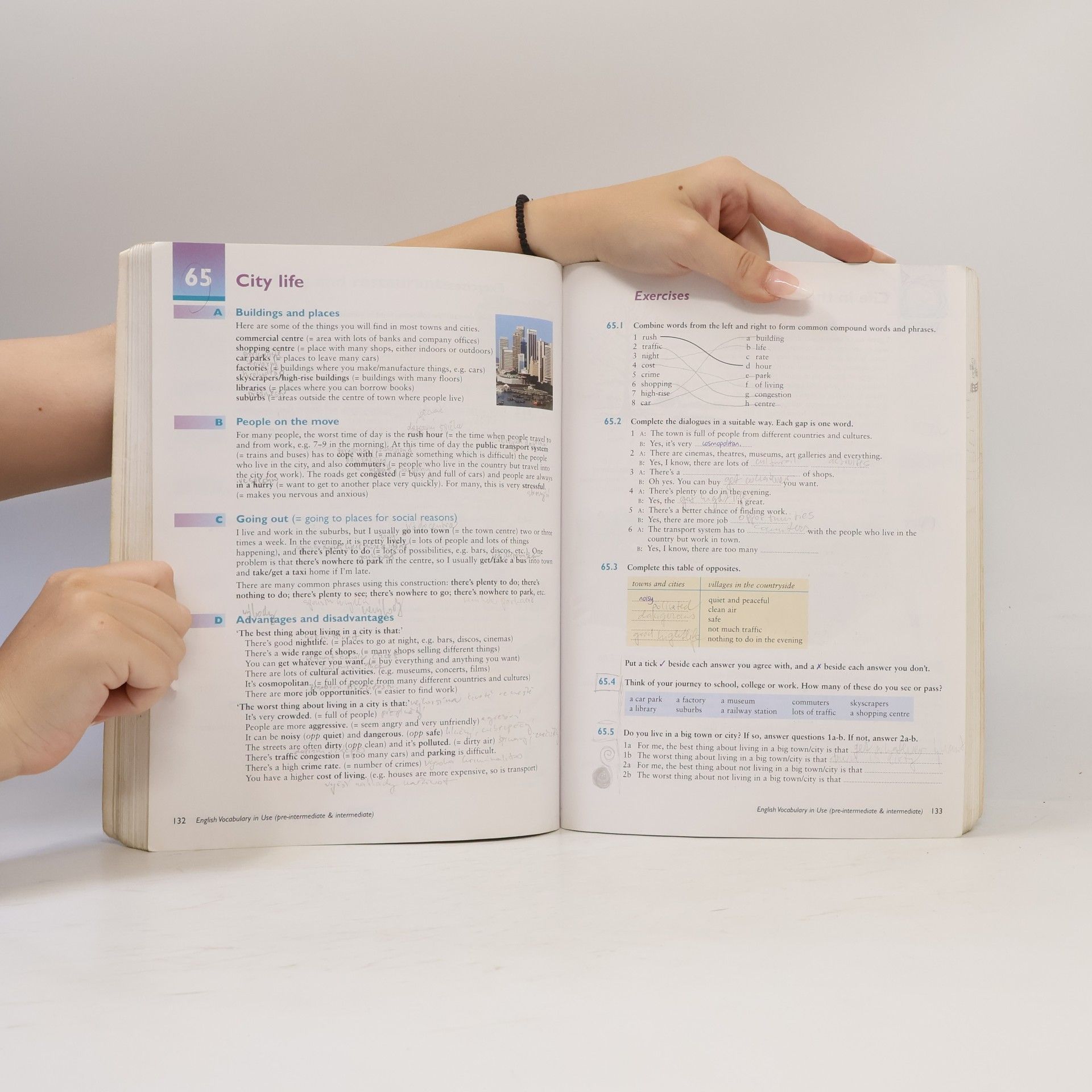 Stuart Redman English Vocabulary in Use Pre-intermediate and Intermediate