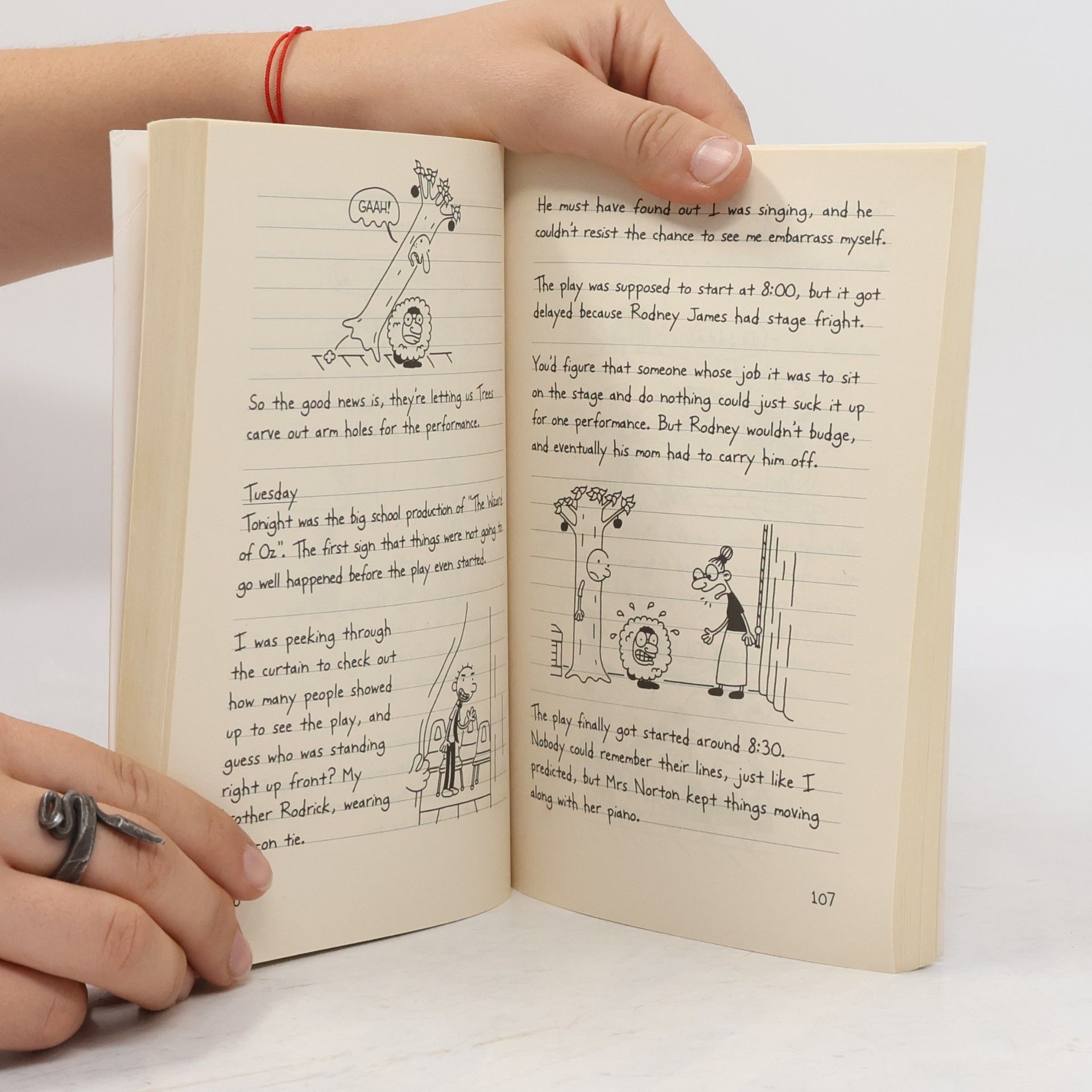 Jeff Kinney Diary of a Wimpy Kid 1