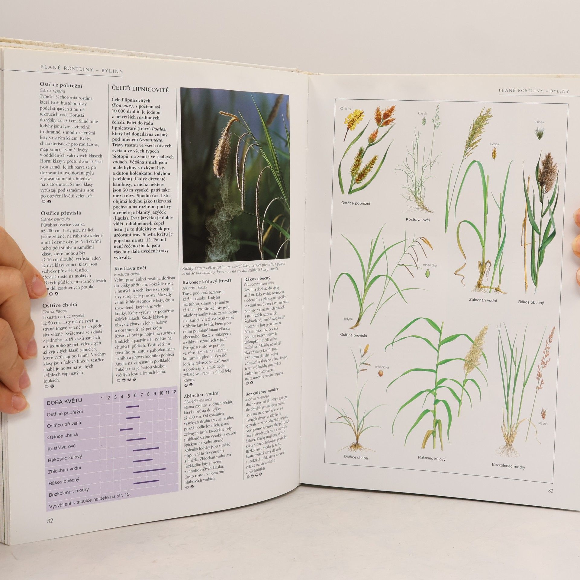 Michael Chinery Ilustrovaná encyklopedie evropské přírody