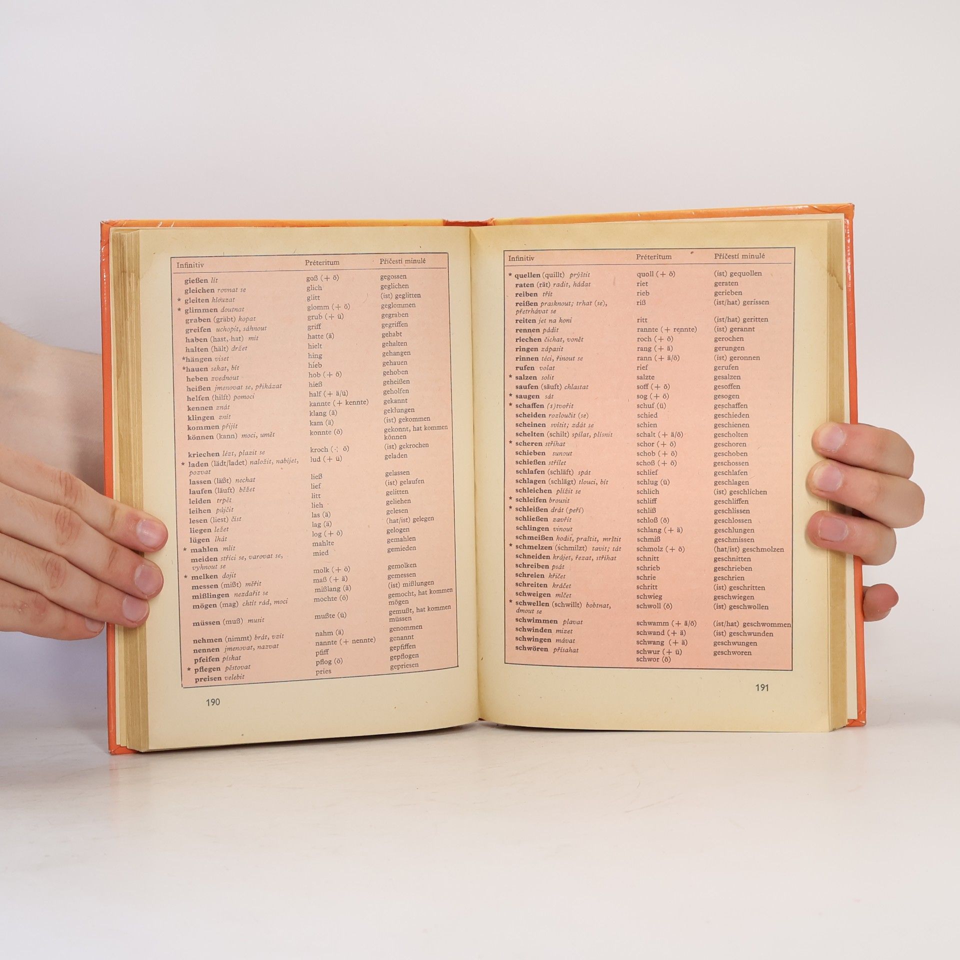 Štěpán Zapletal Praktická mluvnice němčiny