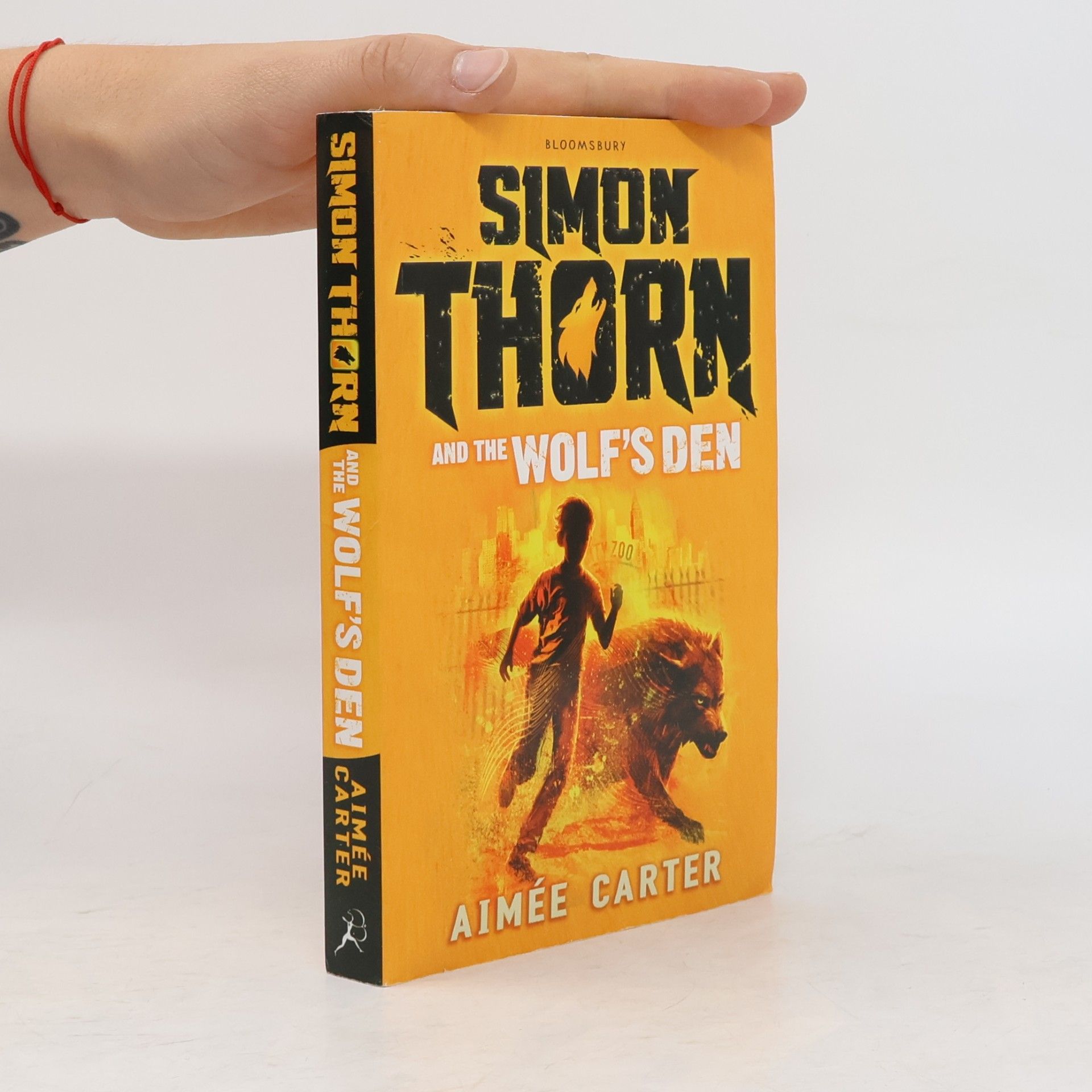 Aimee Carter Simon Thorn and the Wolf's Den