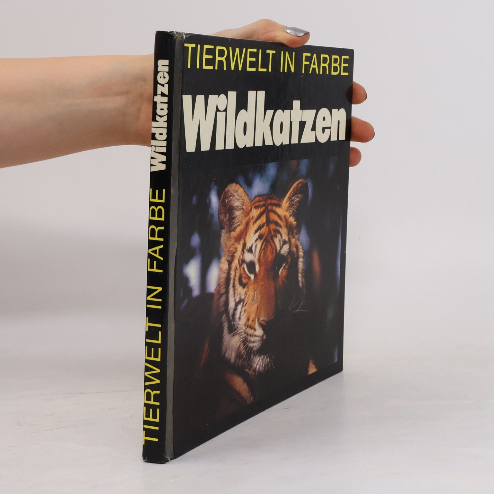 Autorenkollektiv Wildkatzen