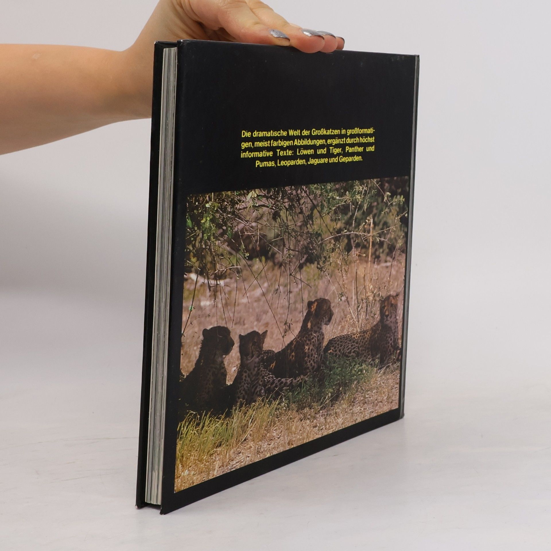 Various authors Wildkatzen