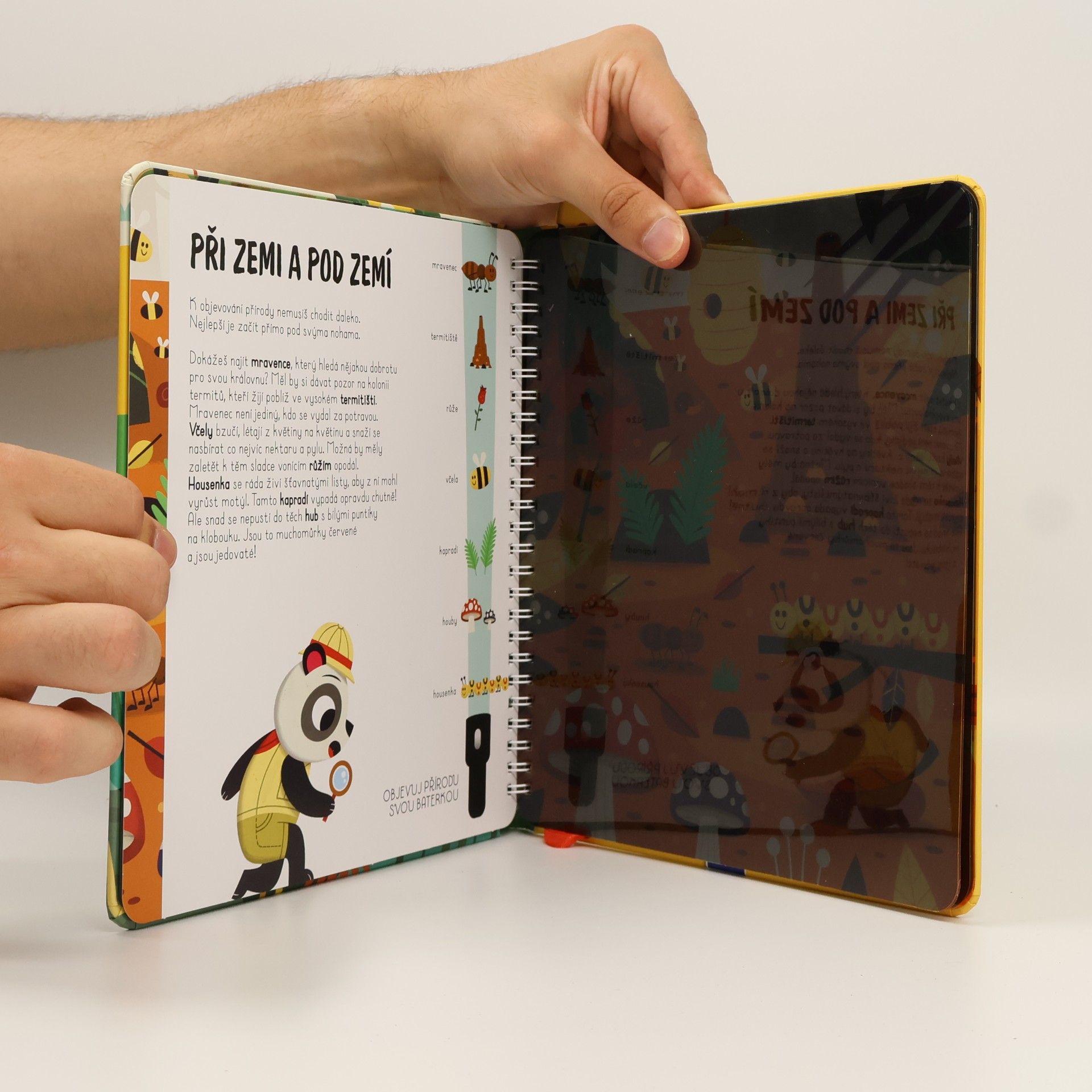 Autorenkollektiv Příroda. Objevování s baterkou