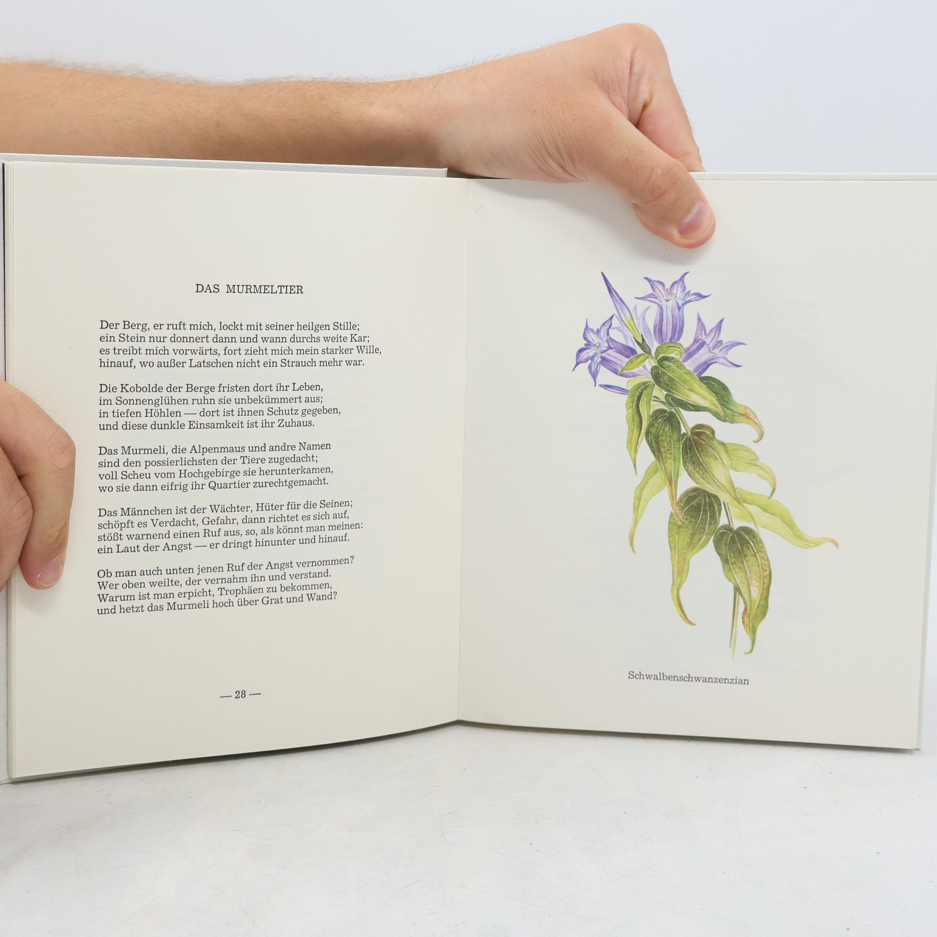 Autorenkollektiv Blüten und Lyrik