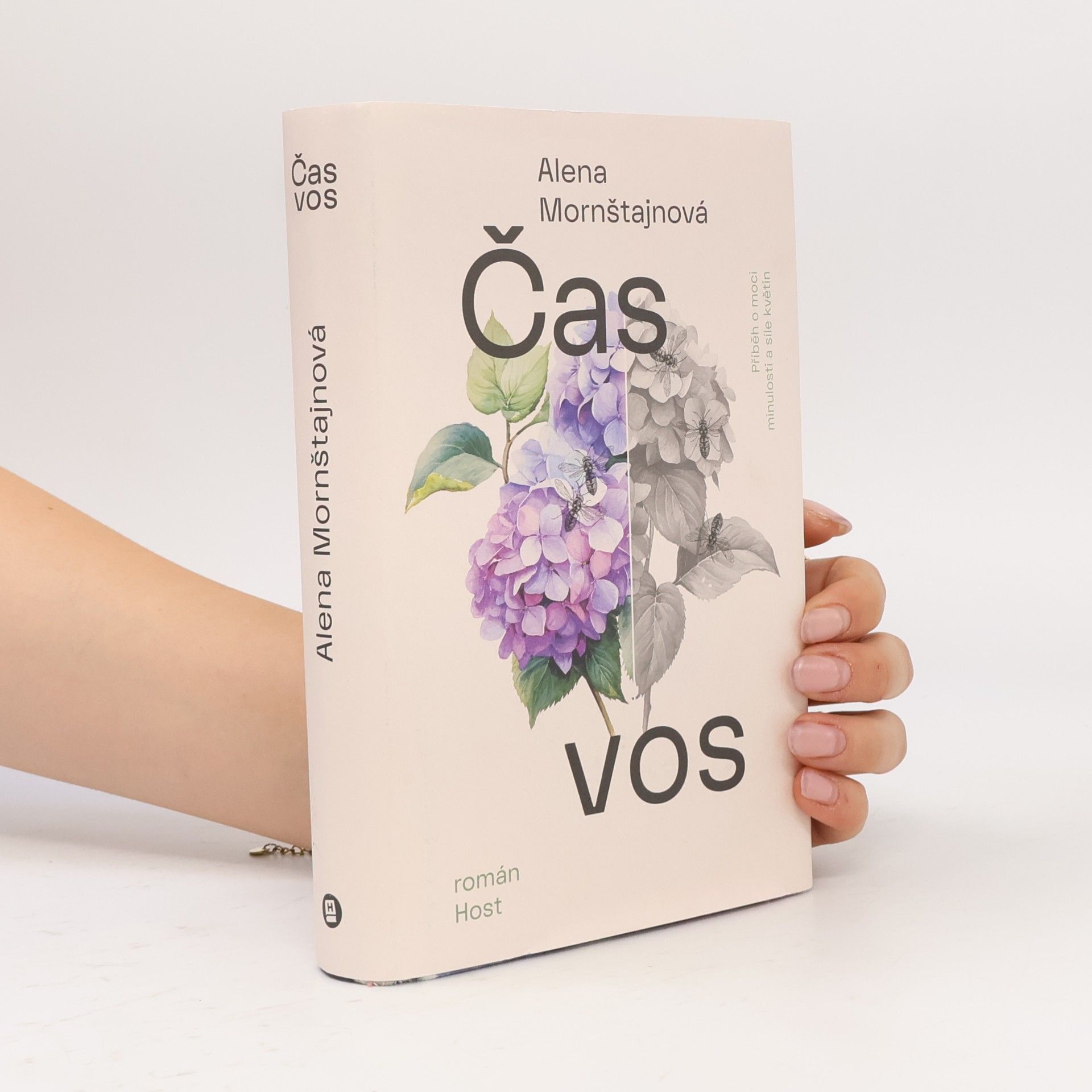 Alena Mornštajnová Čas vos