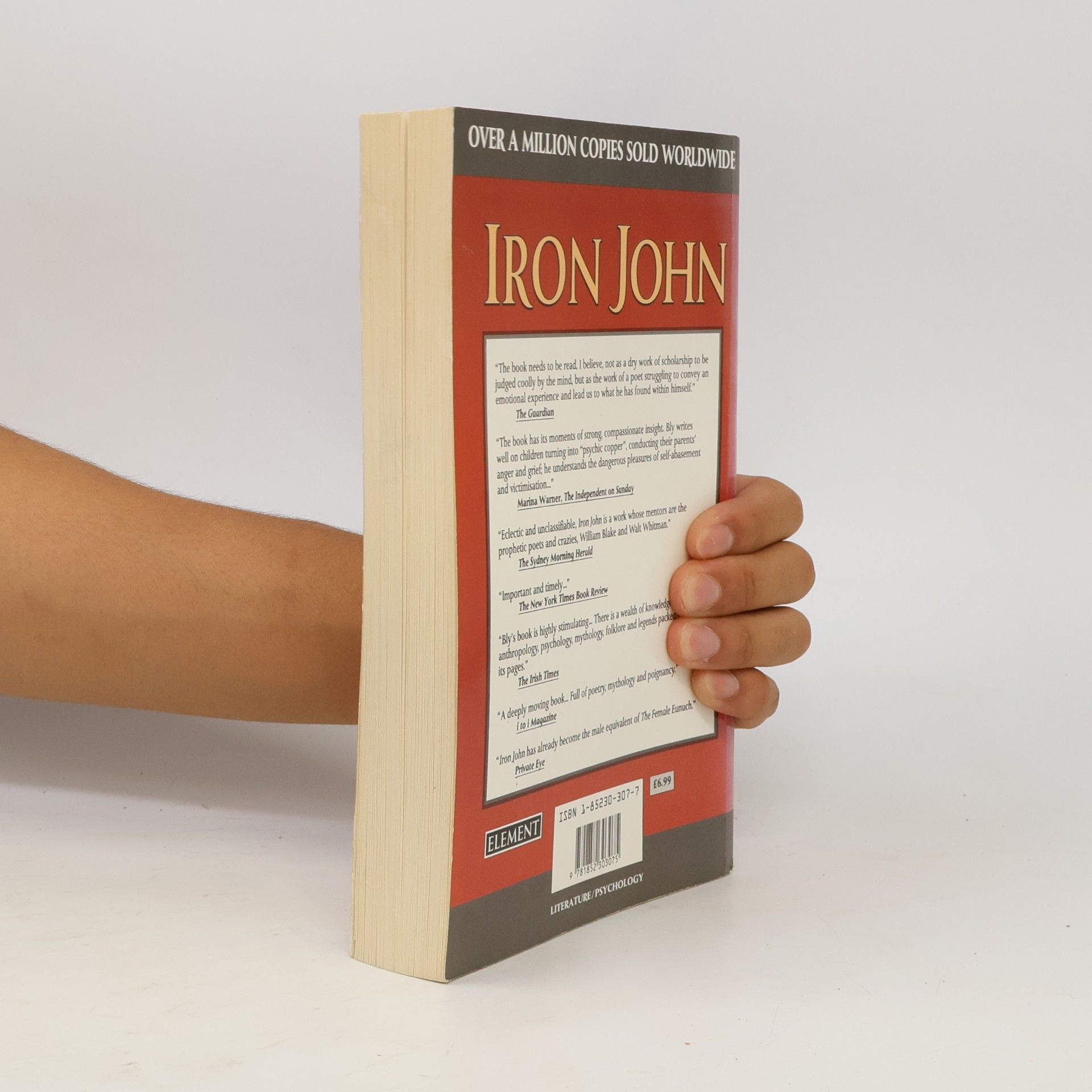 Robert Bly IRON JOHN