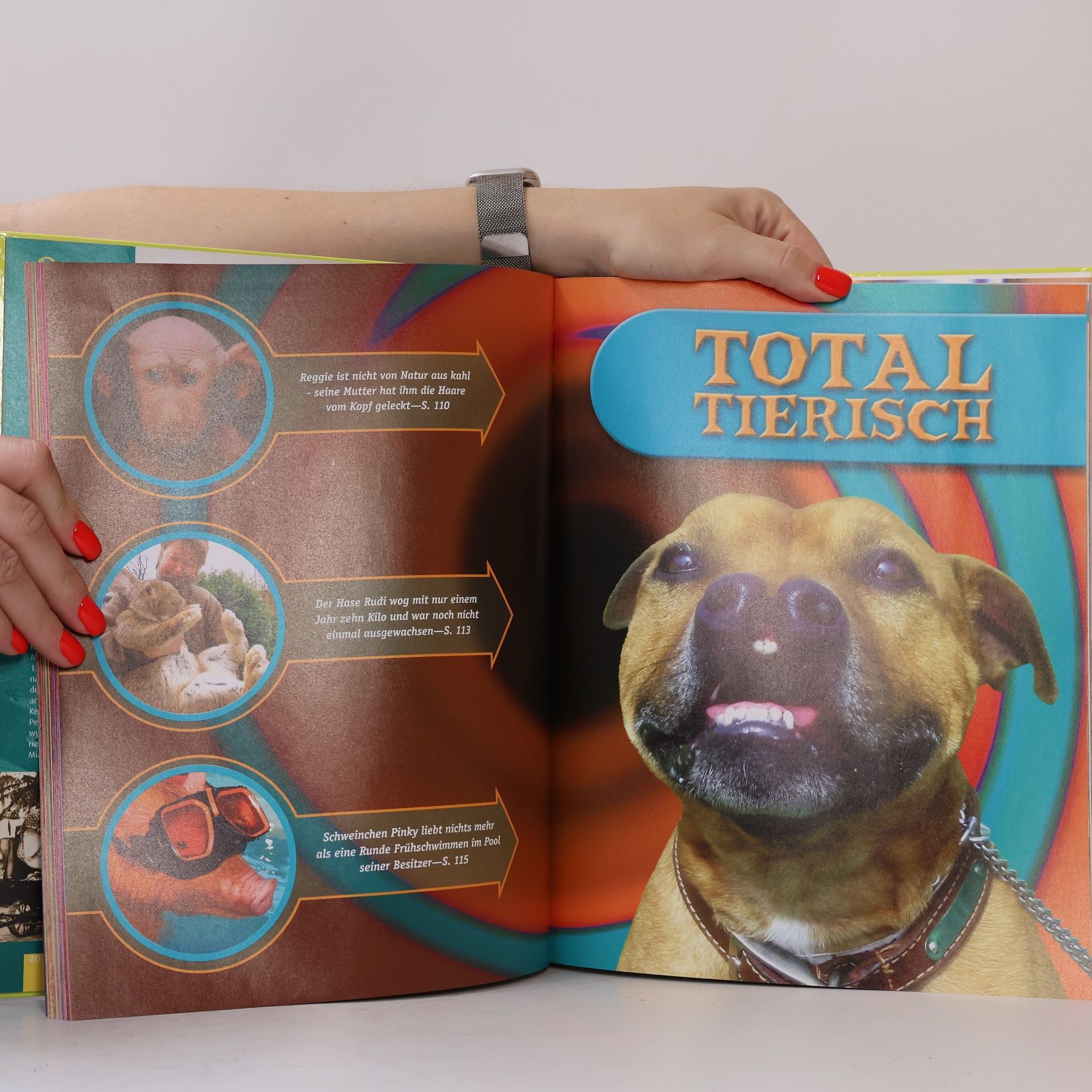 Geoff Tibballs Ripley's einfach unglaublich! - das Lexikon der etwas anderen Art